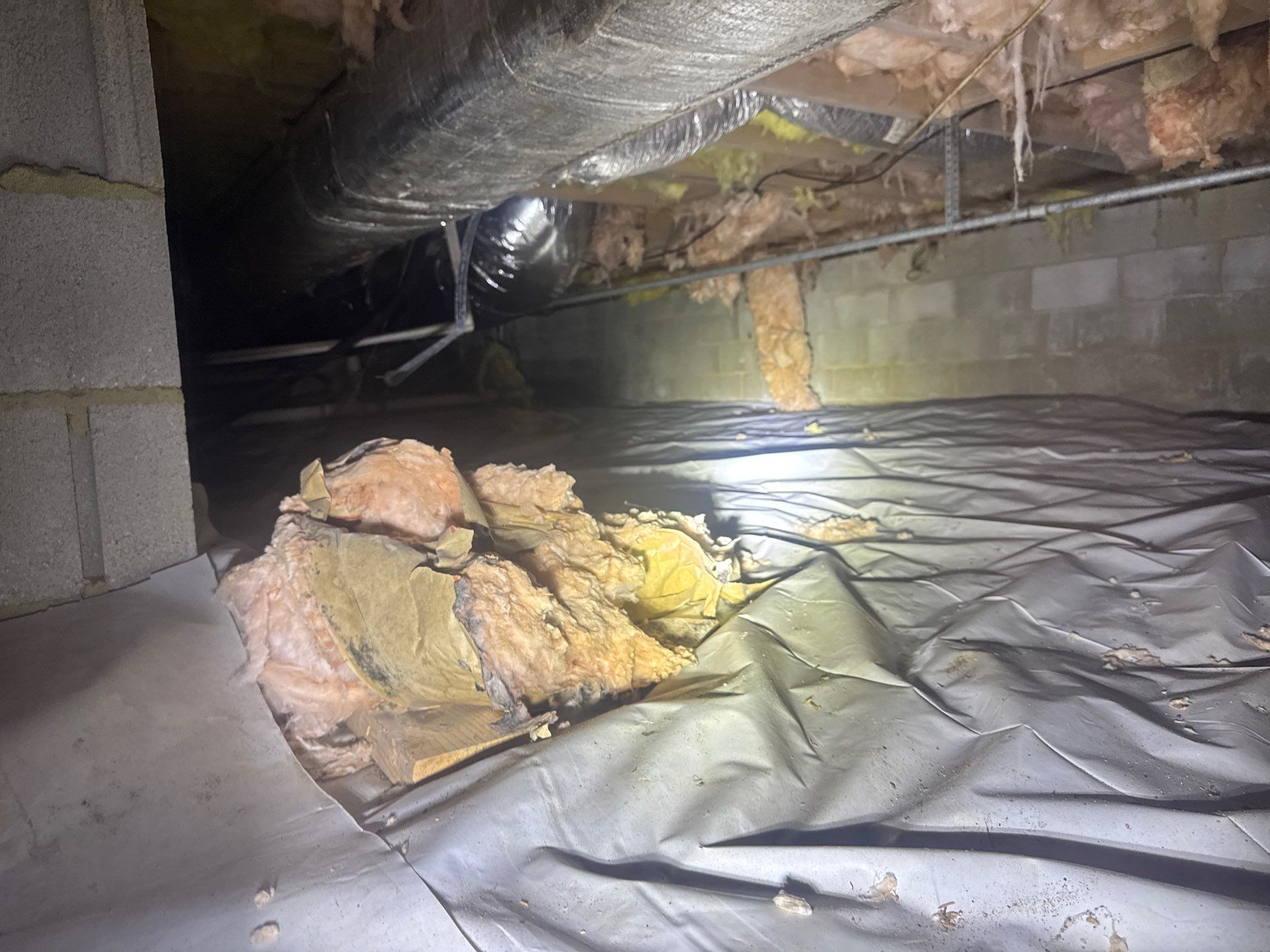 Project in Williamsburg by Patriot Crawl Space Repairs
