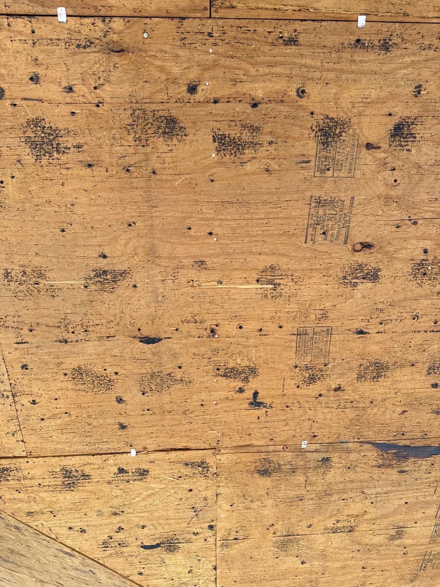 Project in Largo 33778 by Mitchell Roofing Company LLC 