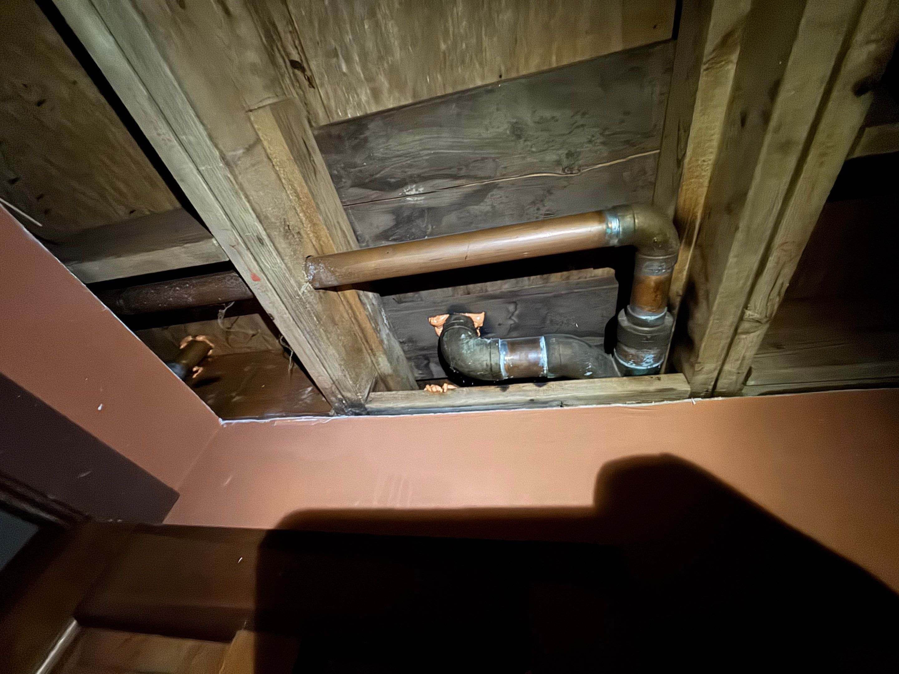 Entire Home Remediation using Home Guarantee by Home Guarantee, LLC