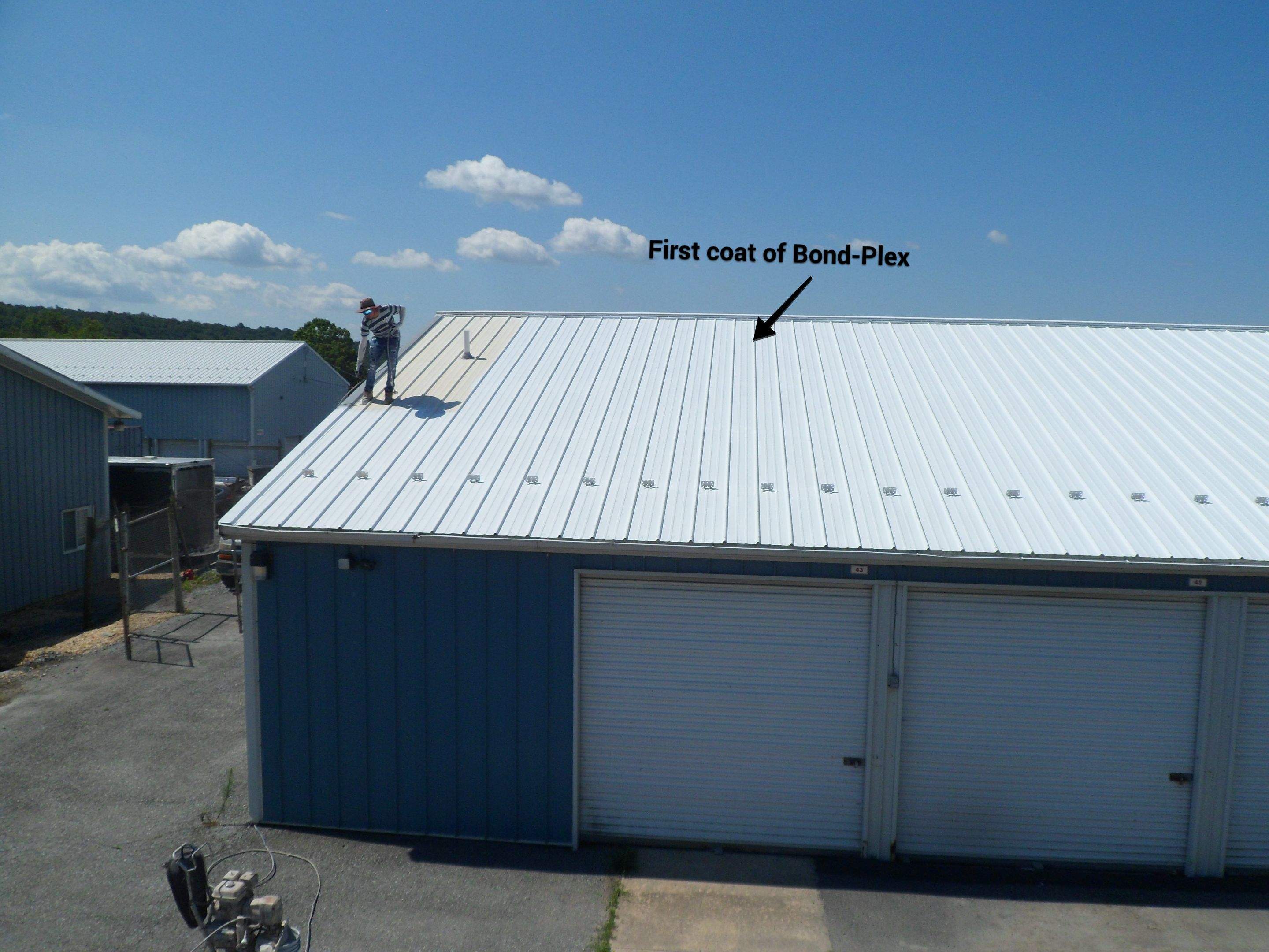 Exterior Painting by Alpha Design Services