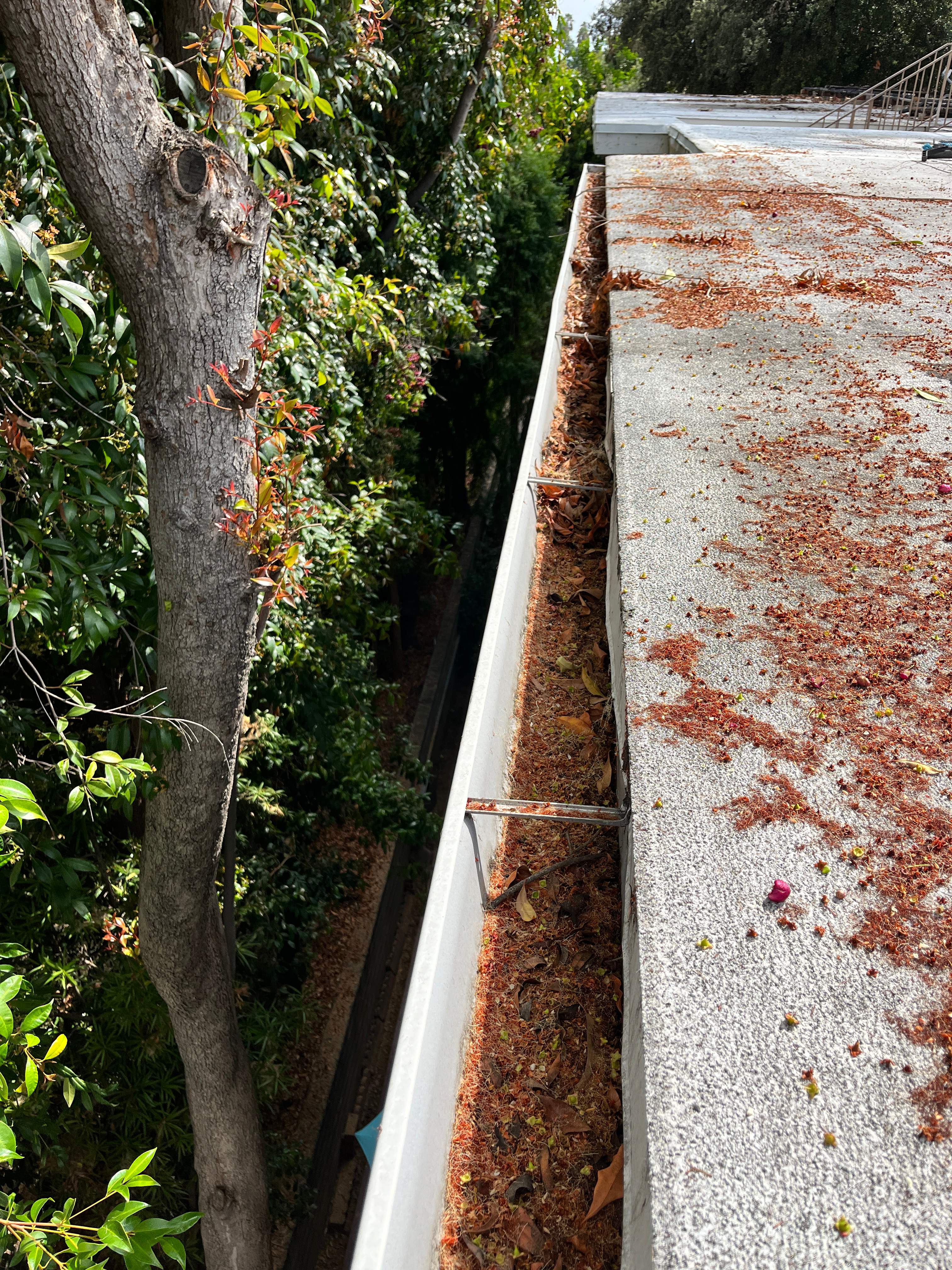HOA Gutter Cleaning in Pasadena by Palm Coast Solar Cleaning