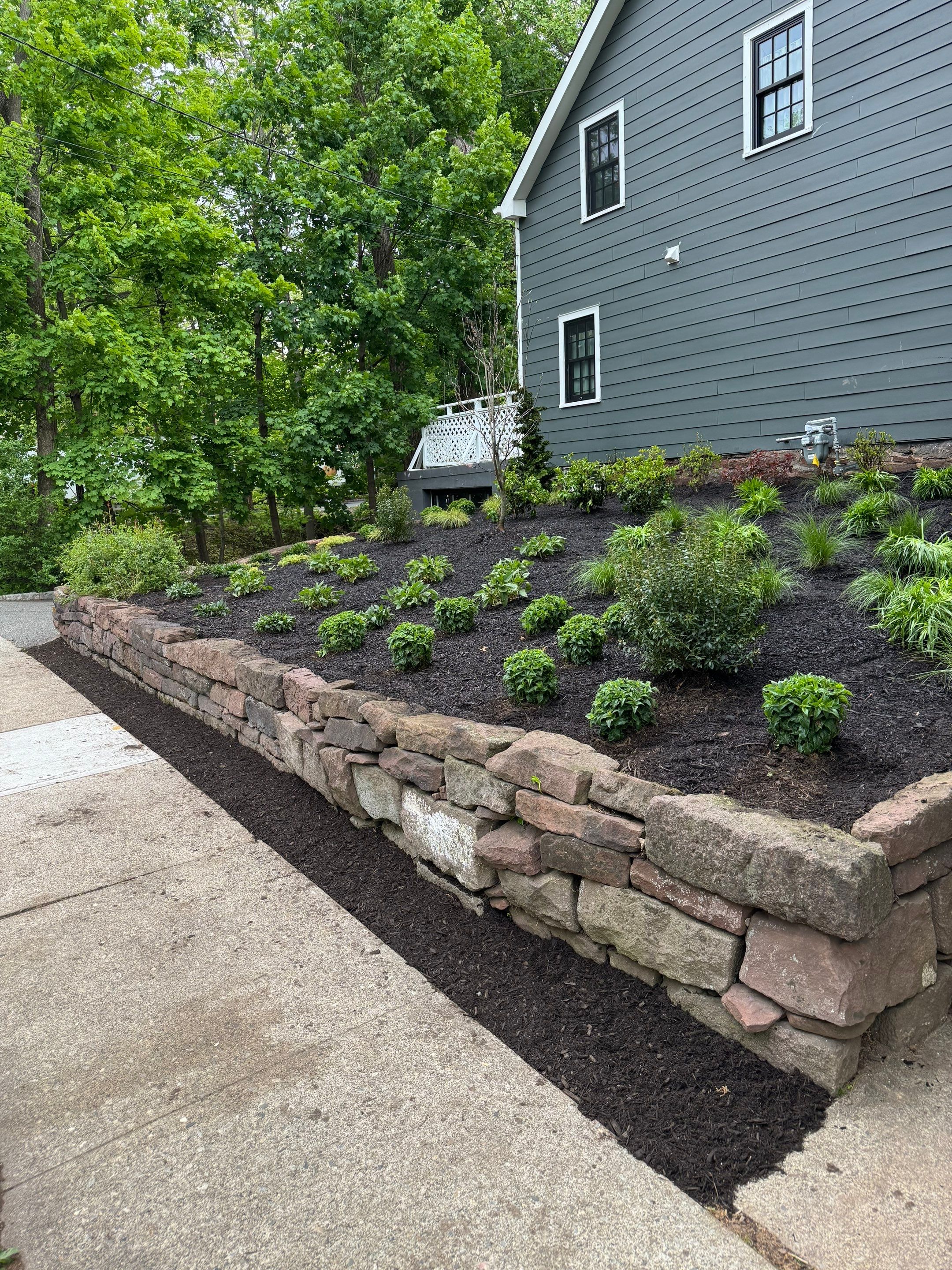 Native Planting by K Macken Landscaping LLC
