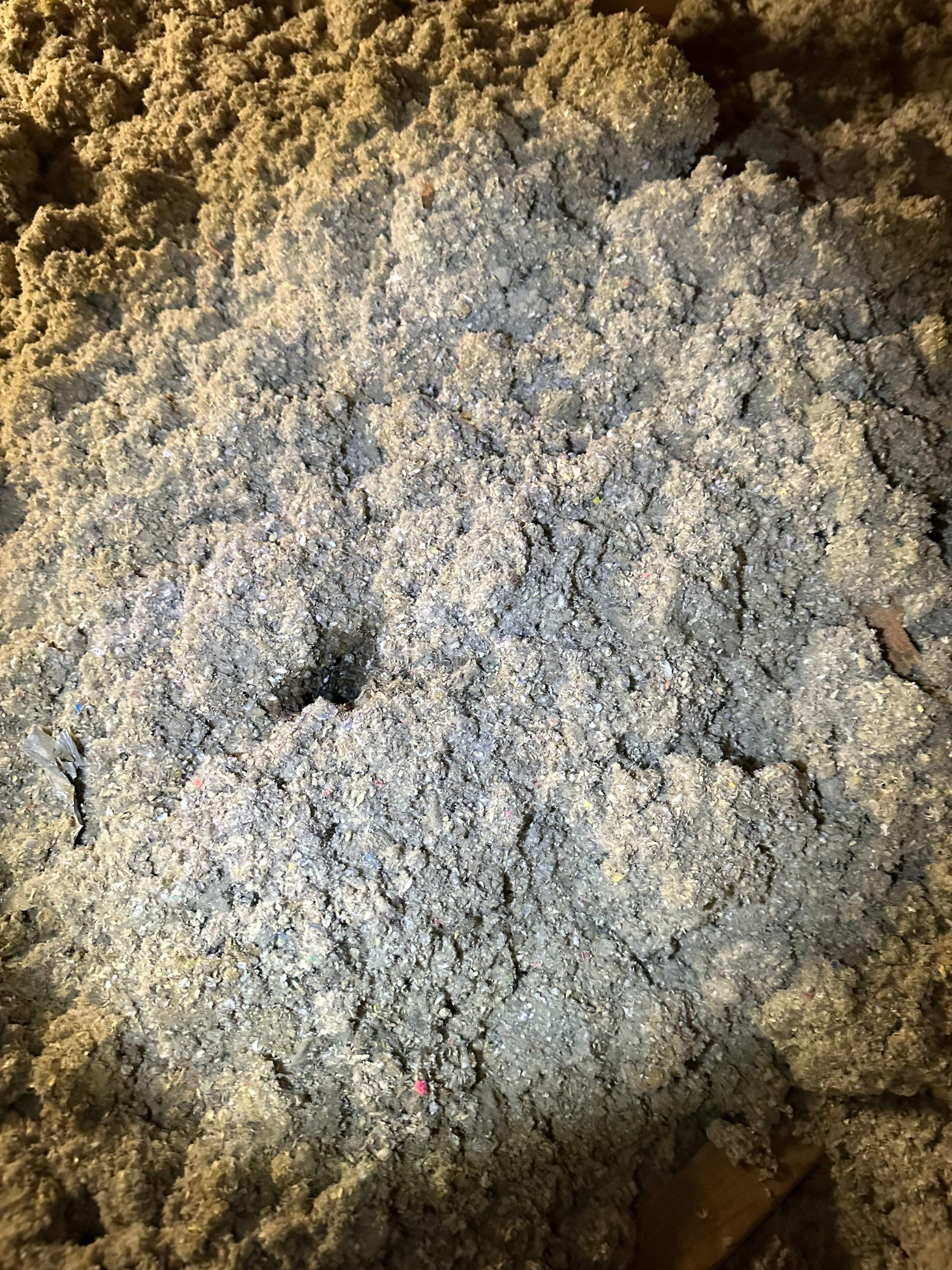 Mold in Crawl Space in Broomfiled, CO by Alpha Restoration 