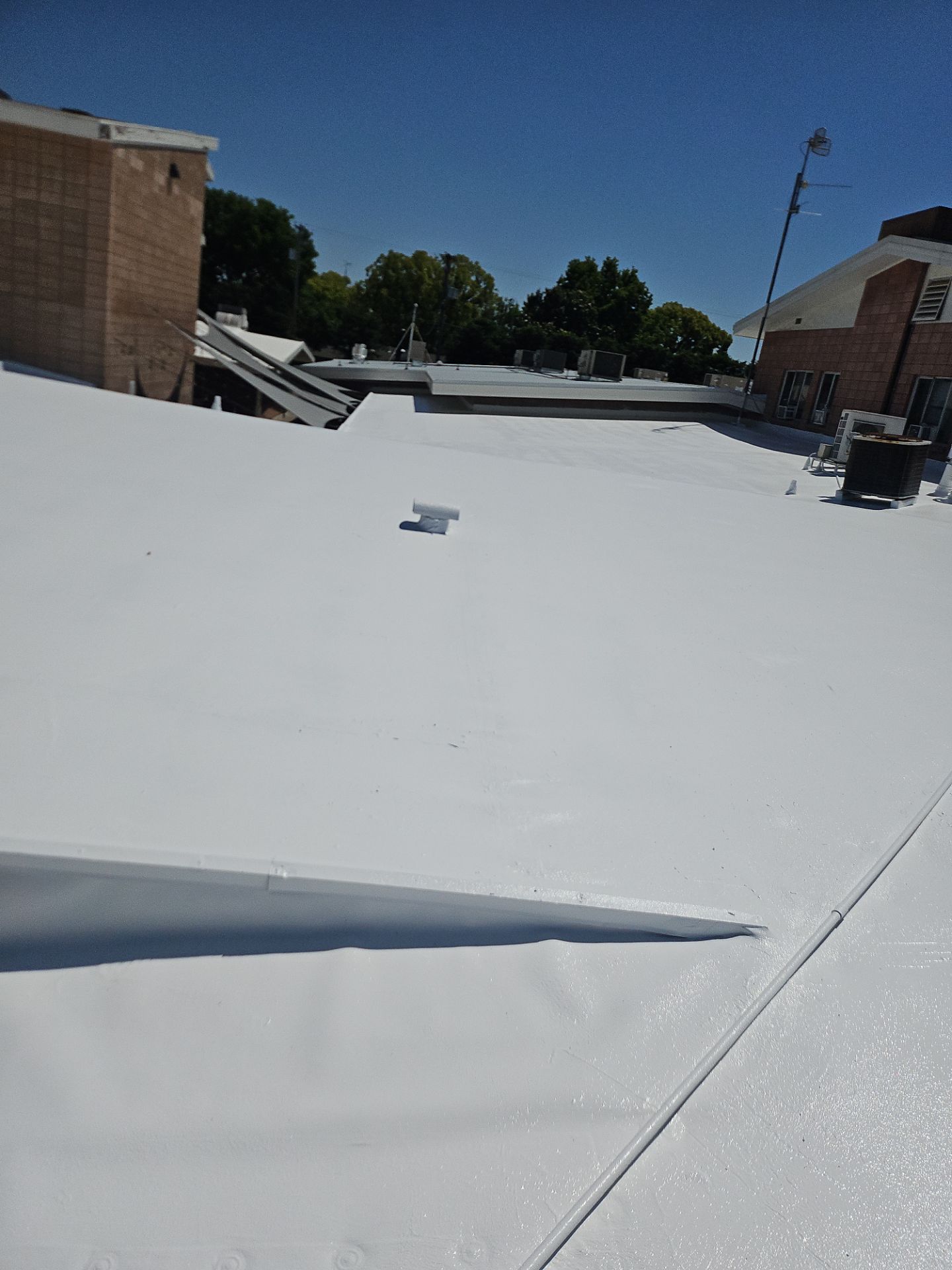Single-ply restoration system using Benchmark/PUMA XL coatings over TPO single-ply roofing by Straight Edge Roofing Inc