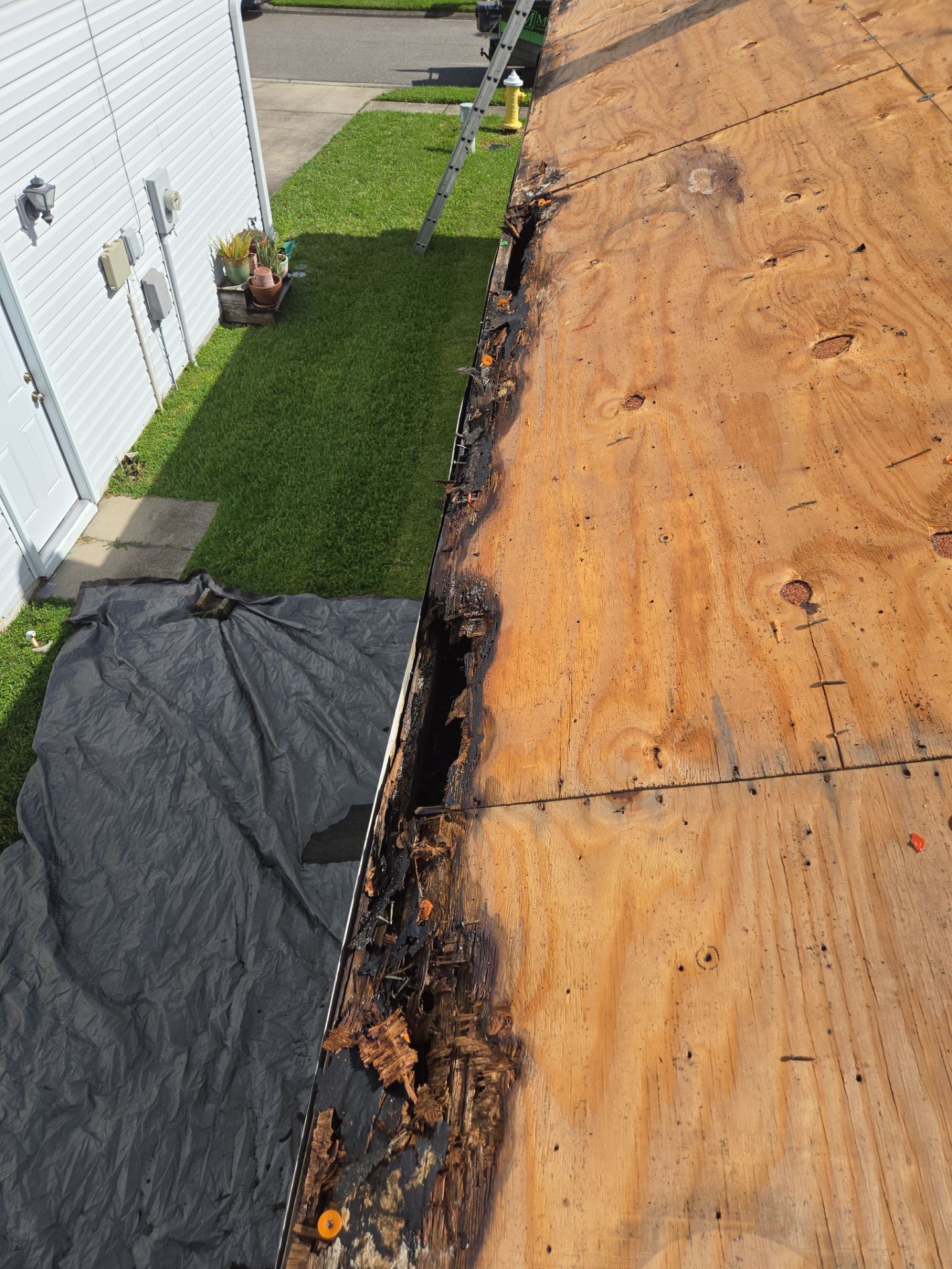 Project in Oldsmar 34677 by Mitchell Roofing Company LLC 