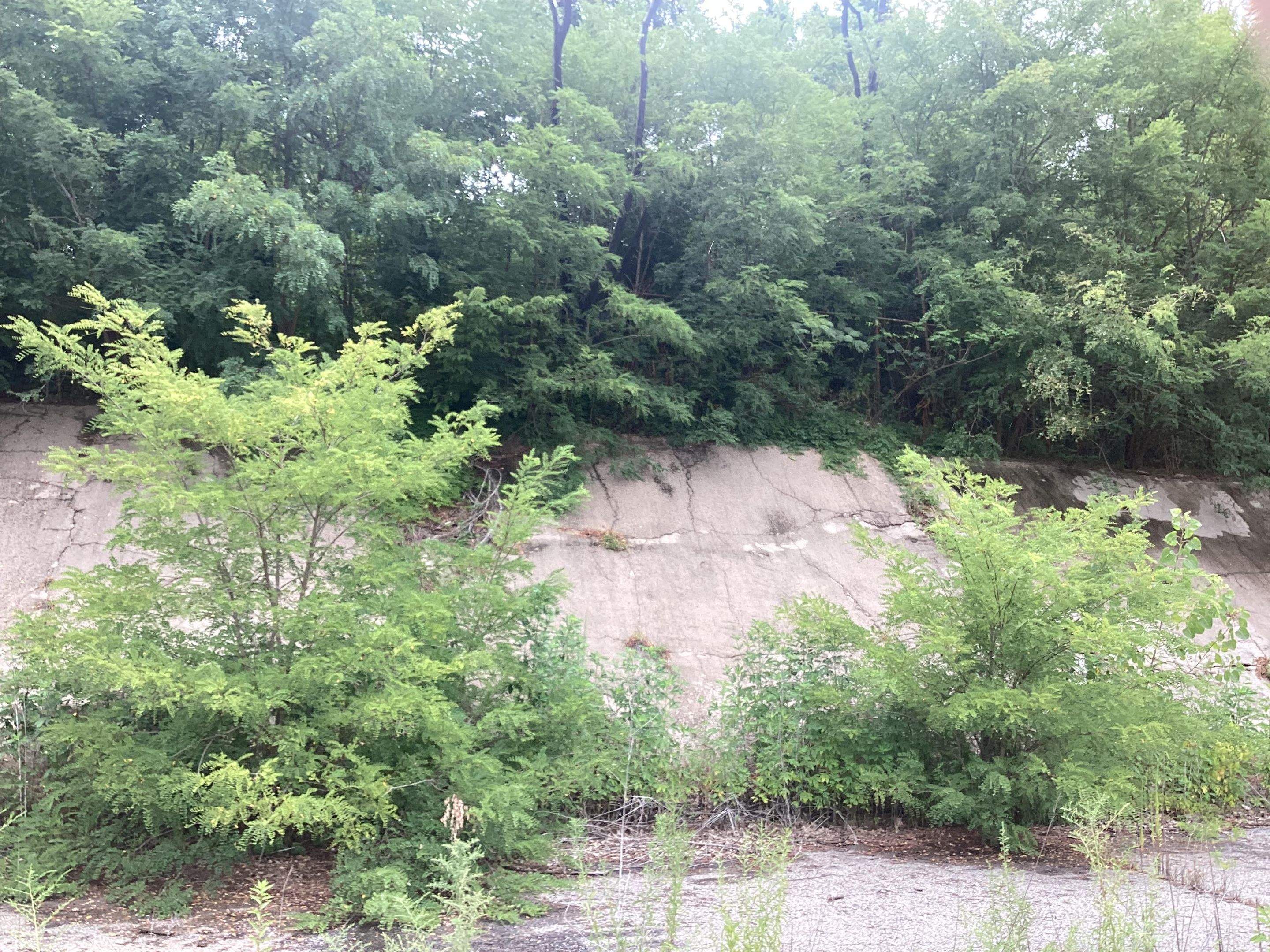 Memphis, TN by Ironhorn Enterprises