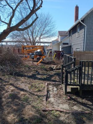 Tree Trimming using Tree Pruing