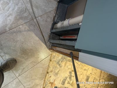 Wet Carpet Drying — Naples, FL