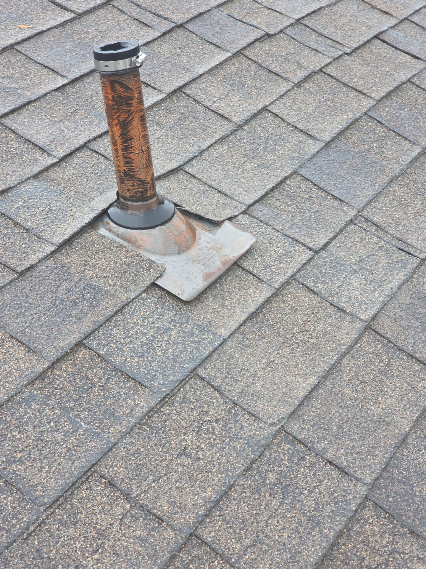 Roof Rejuvenation using Roof Maxx Treatment by Roof Maxx of Folsom