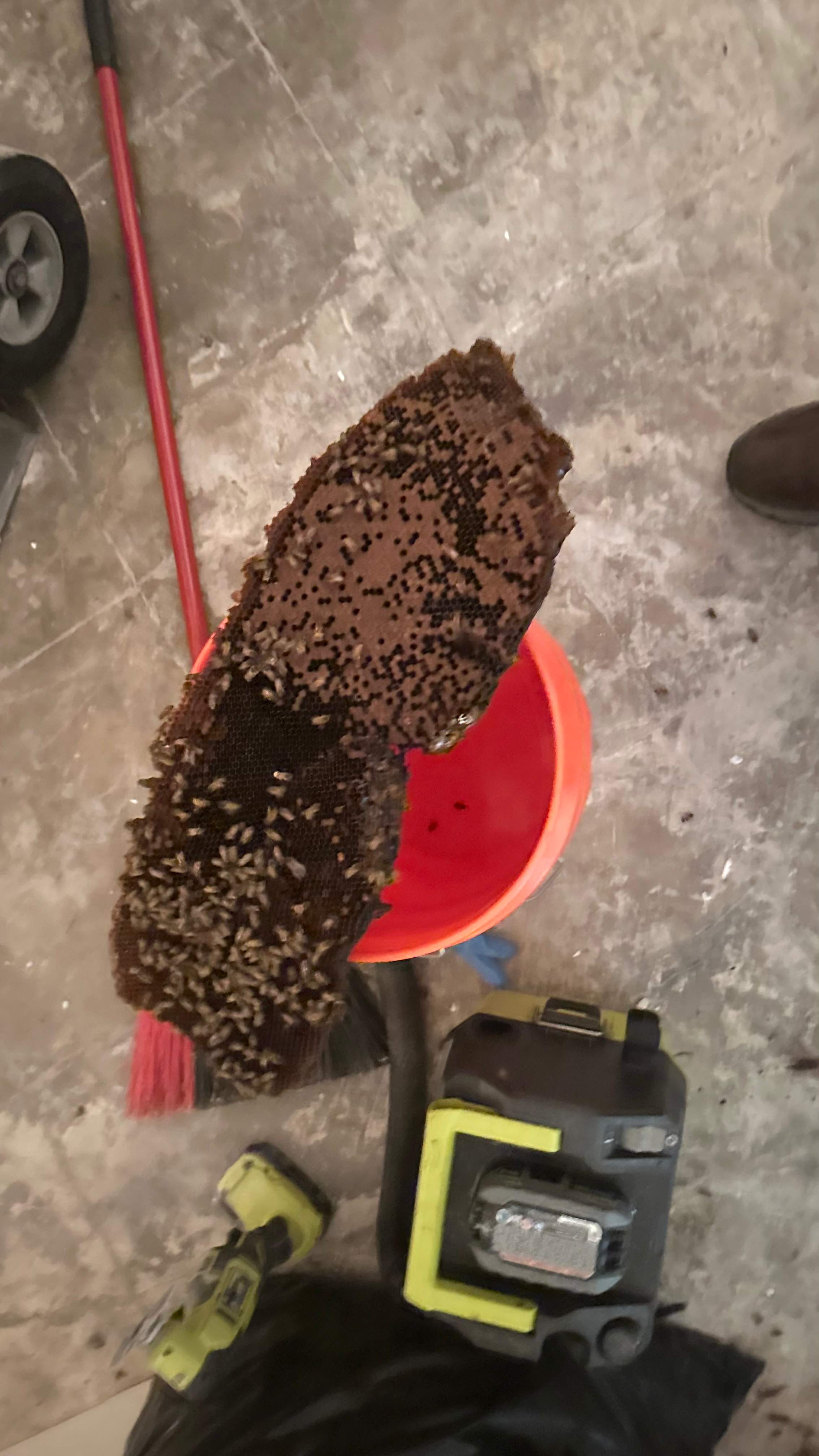 Interior Ceiling by Rockwall Honey Bee Company