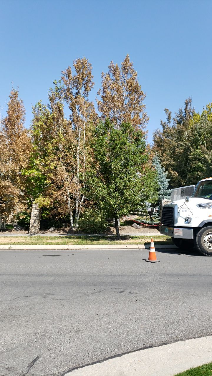 Residential Roofing Installation using GAF Glenwood Premium Shingle by The Roof Doctor
