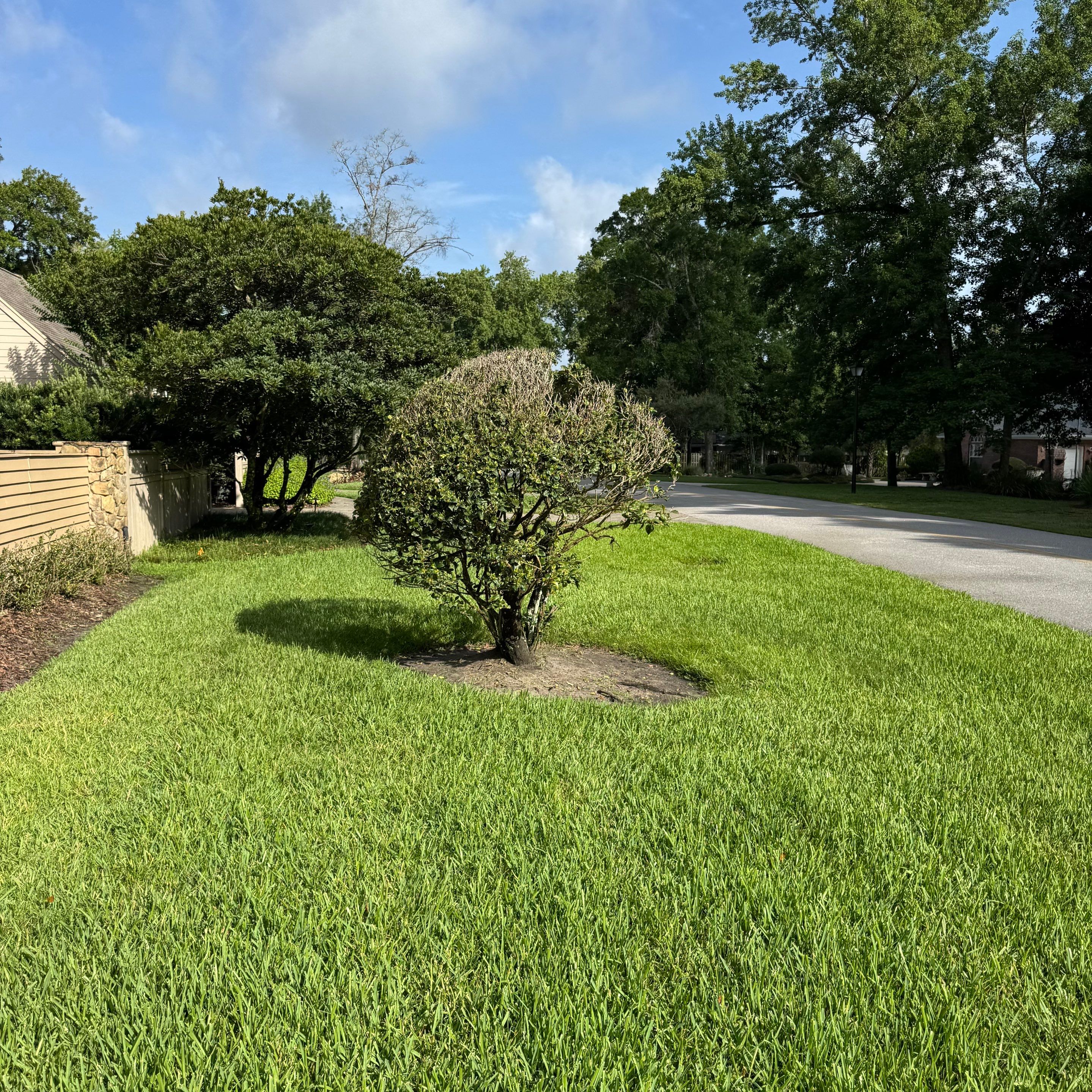 Deerwood Resident | Plant Install & Tree Work by ProGreen Services