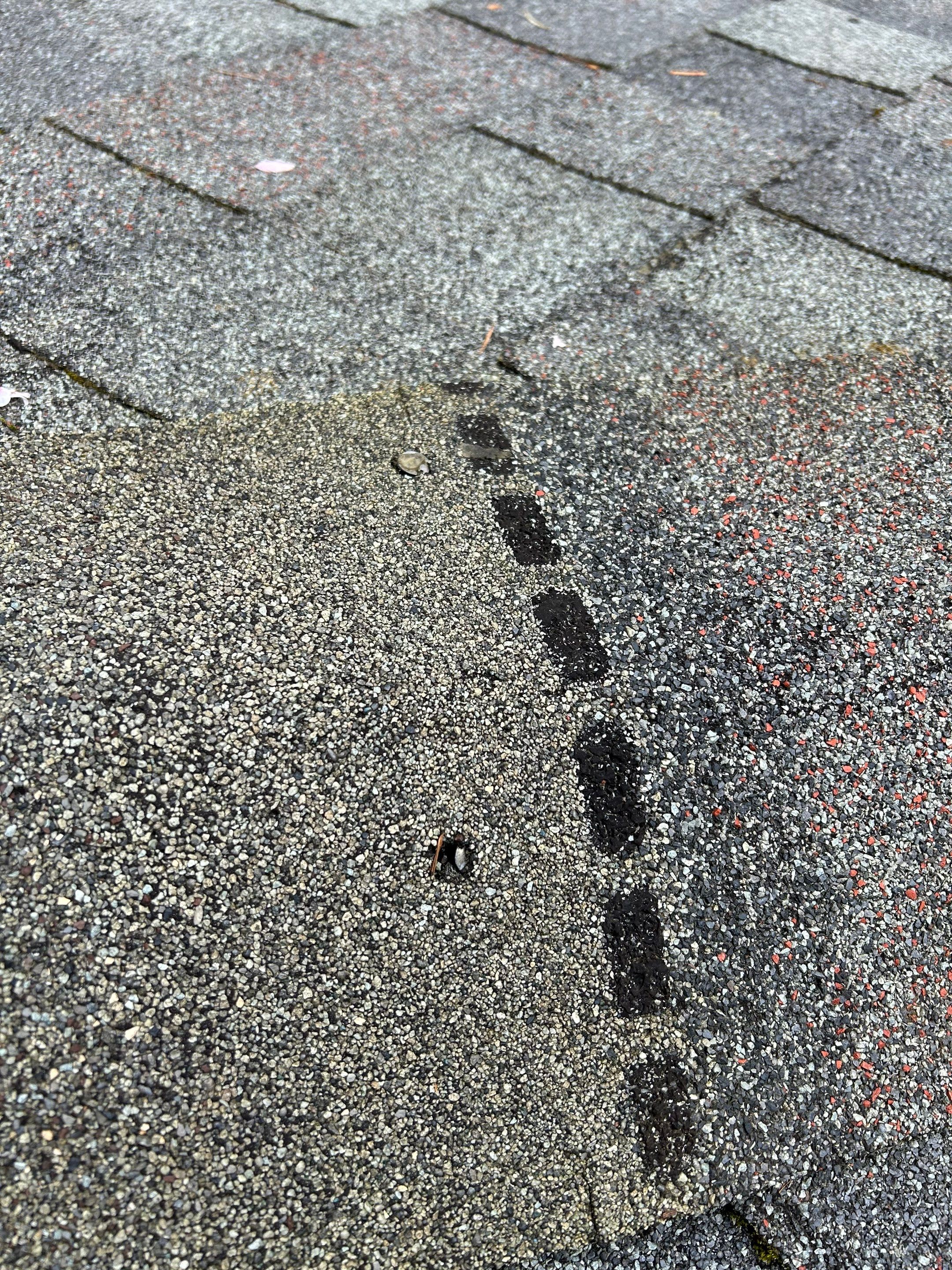 Project in Redmond by Connolly Construction Company