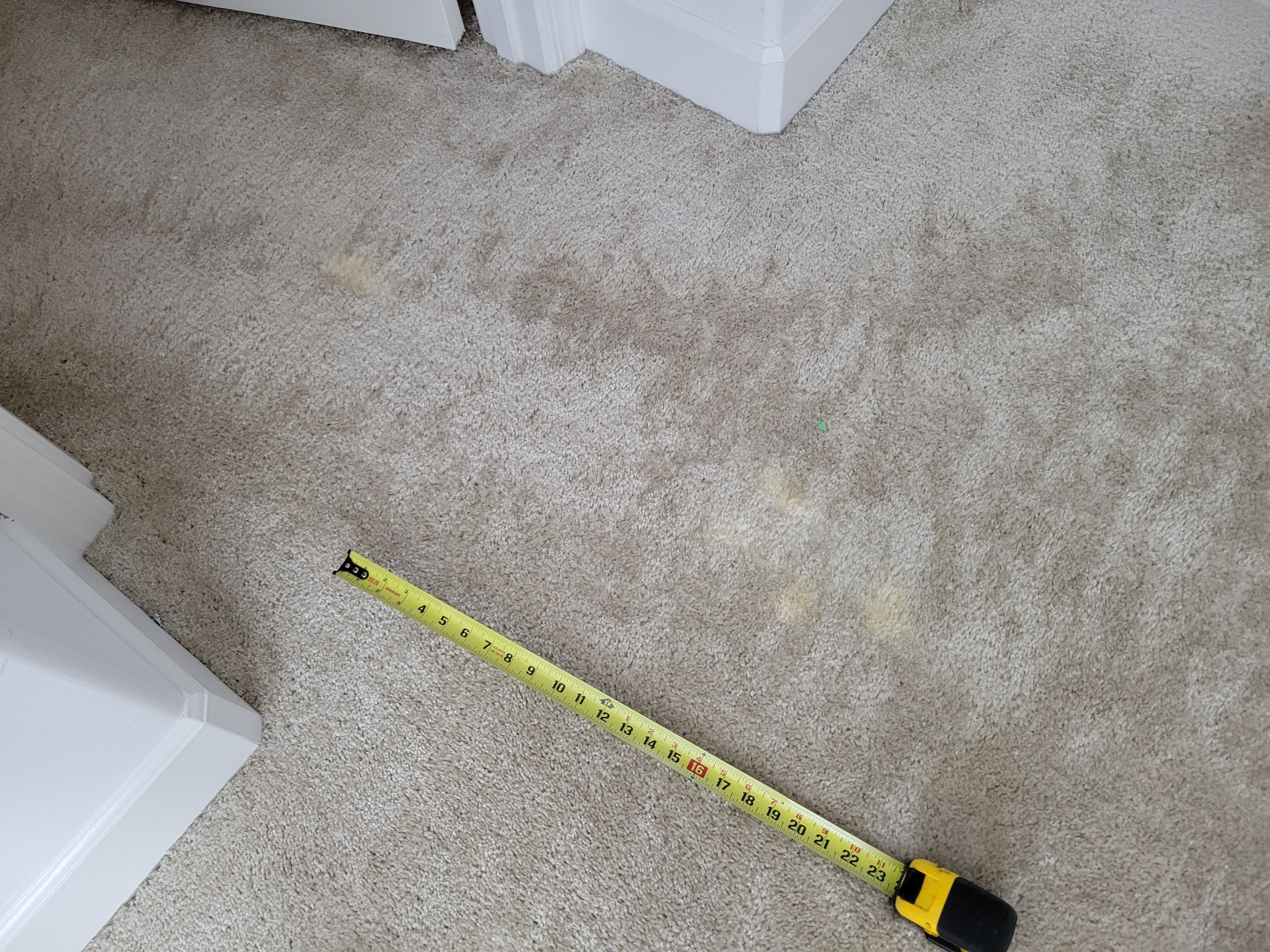 Carpet Repair of Paint, Stain & Bleach by Ardent Carpet Restore LLC