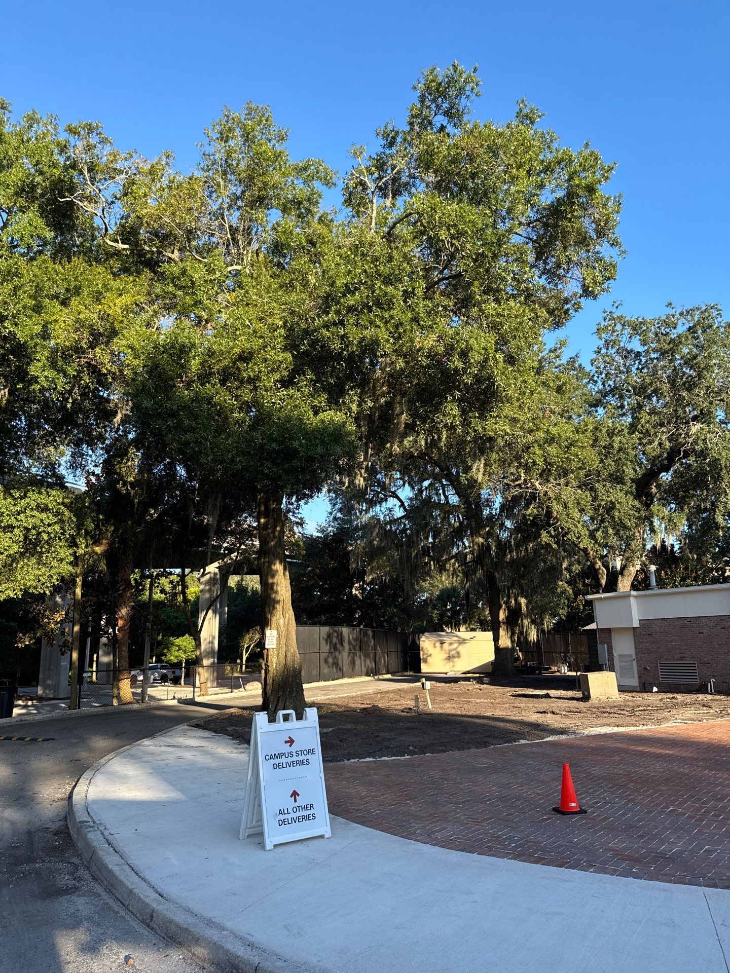 Welcome Center Tree Removal | Episcopal School of Jacksonville by ProGreen Services