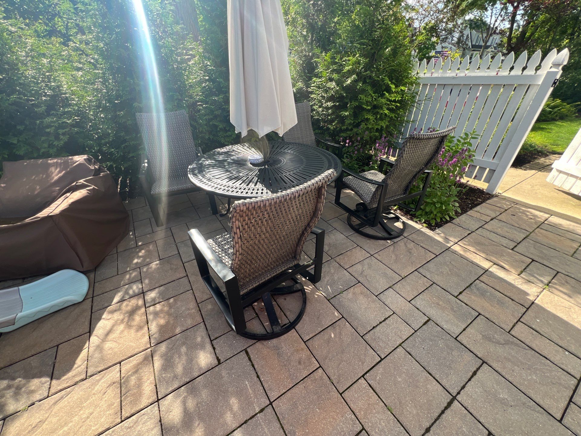 concrete cleaning using Algaecide, soft wash soap by Northern Power Washing LLC.