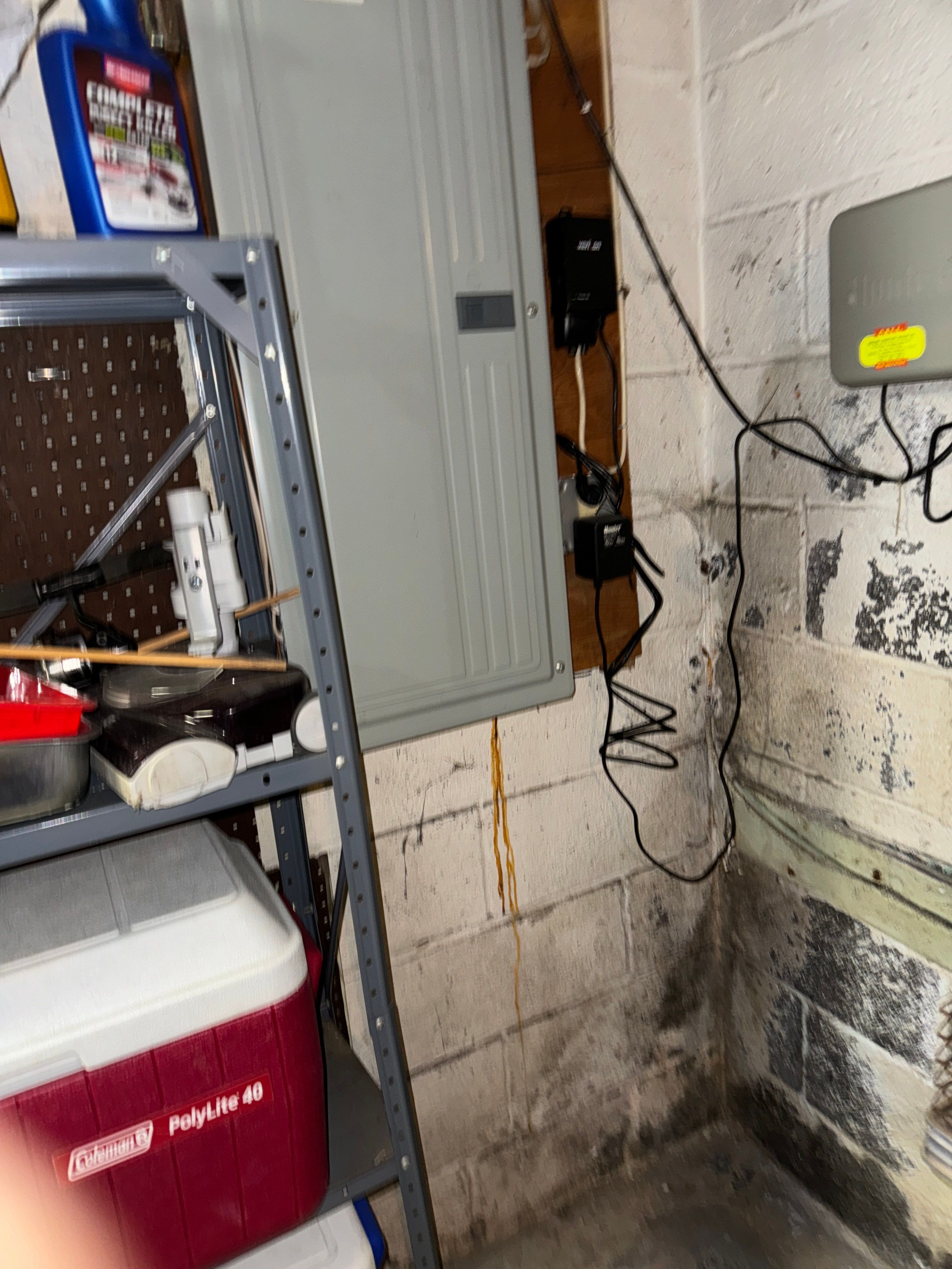 Basement Waterproofing River Edge NJ by Pure Service Pro, LLC 