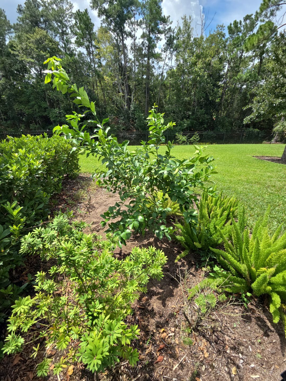 Deerwood Resident | Landscape Update by ProGreen Services