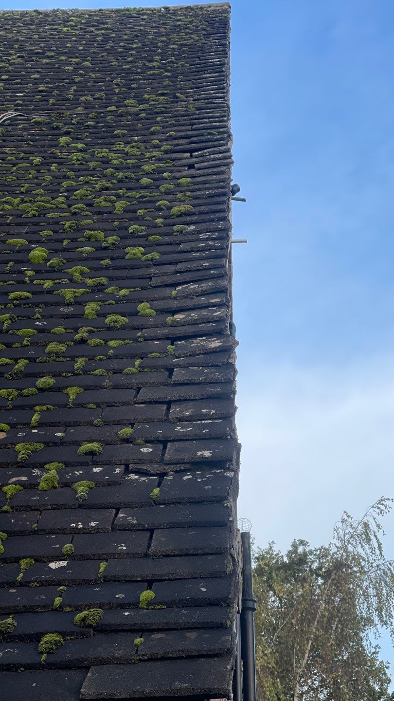 Roof Clean - Biocide Treatment using Honda 15lpm Low Pressure Washing Machine by Ges Exterior Cleaning ltd