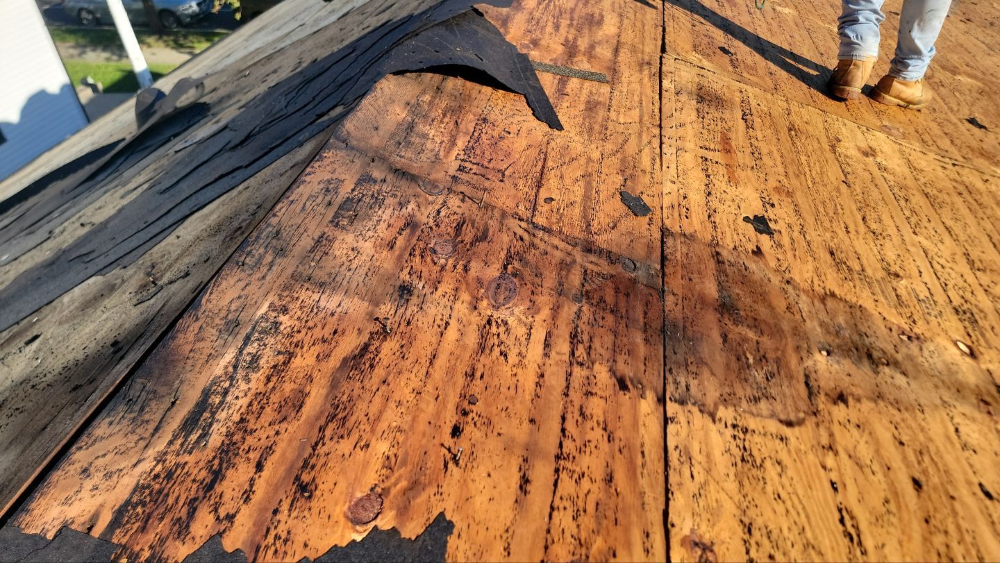 Roof Installation using Tamko Hp Titan XT by ExteriorPros