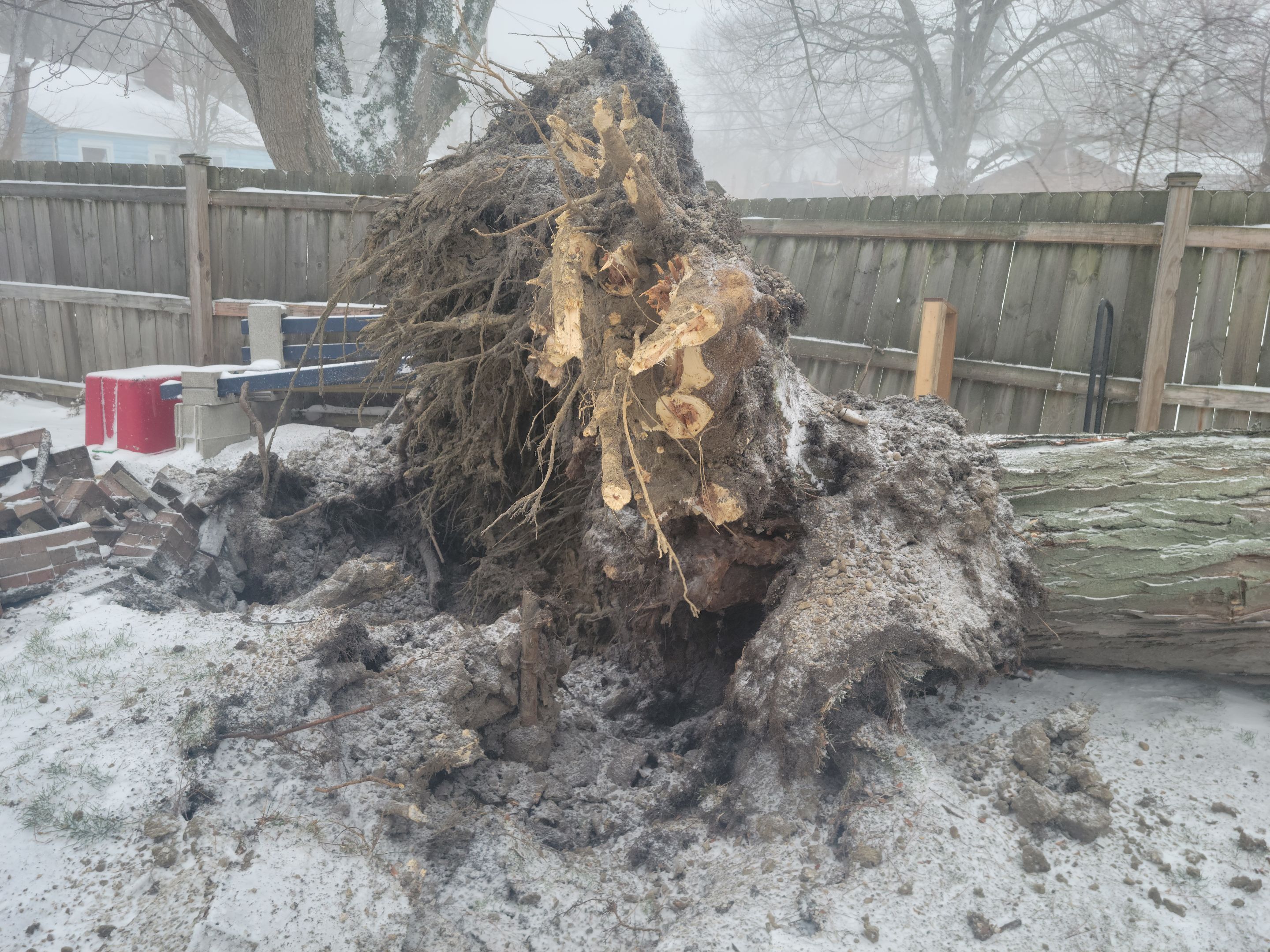 Storm Damaged Tree Removal  using Tree Removal by Mike Jones & Sons Tree Service LLC 