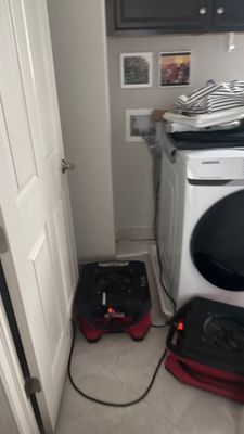 Flood Damage Cleanup — Cape Coral, FL