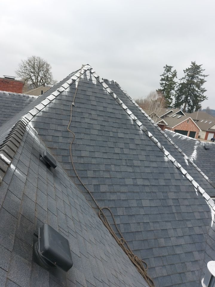 Roof Cleaning  using Moss Treatment  by BEST Roofing & Waterproofing