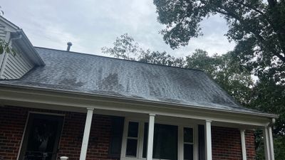 Project in Chester