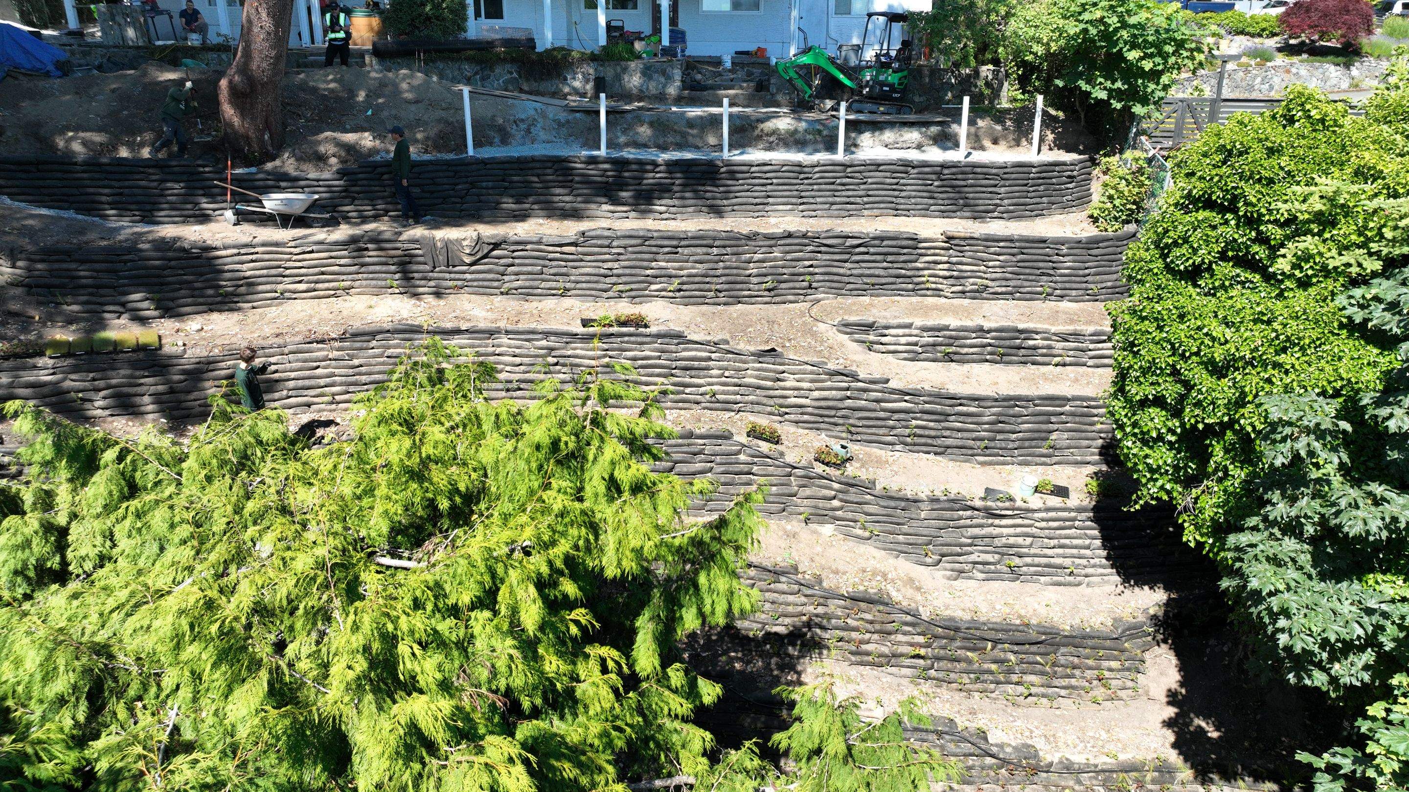 Georgia Park Terrace — Living Slope Transformation by Habanero Landscape Solutions