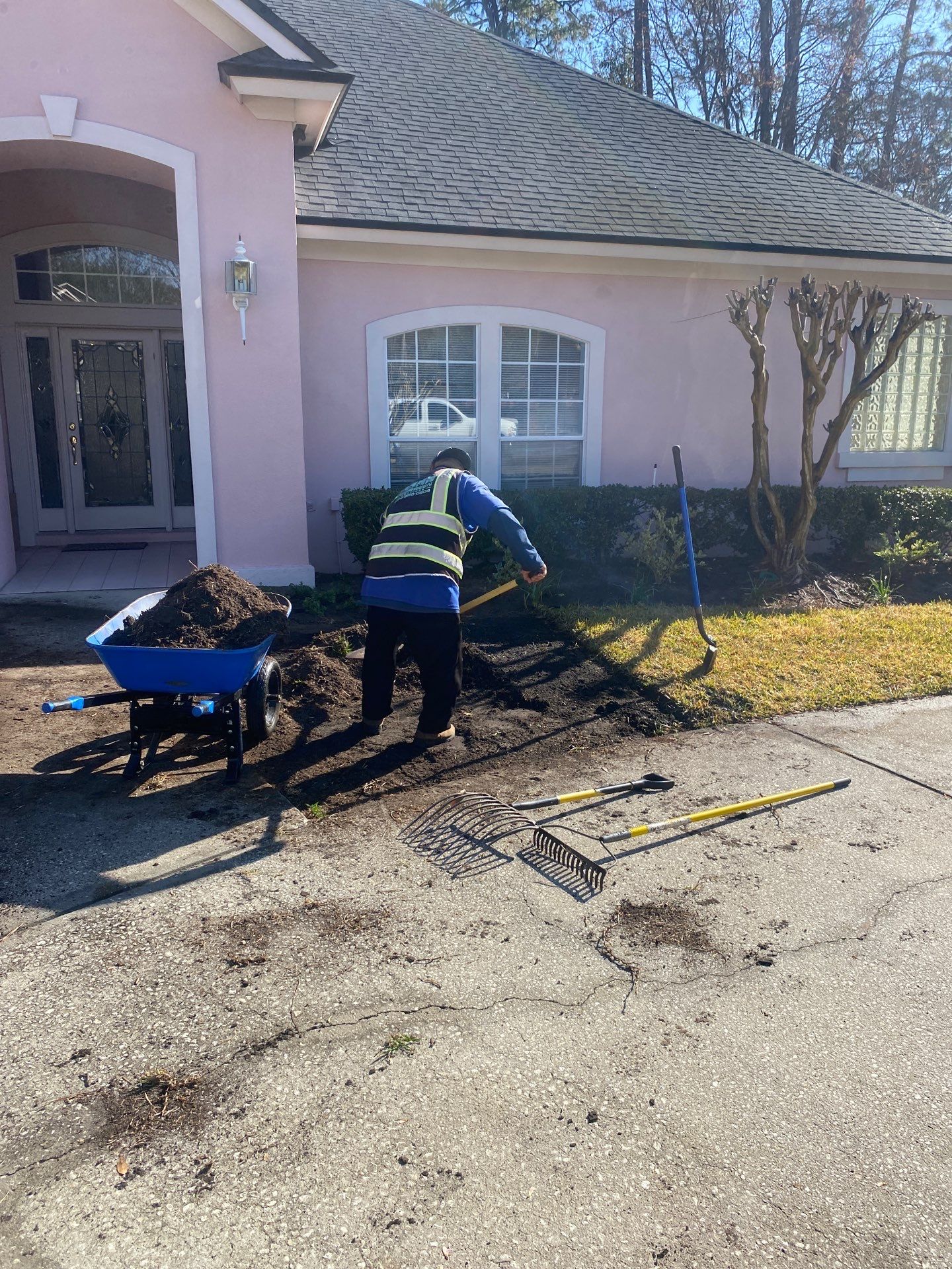 Deerwood Resident | Tree Removal & Clean-Up by ProGreen Services