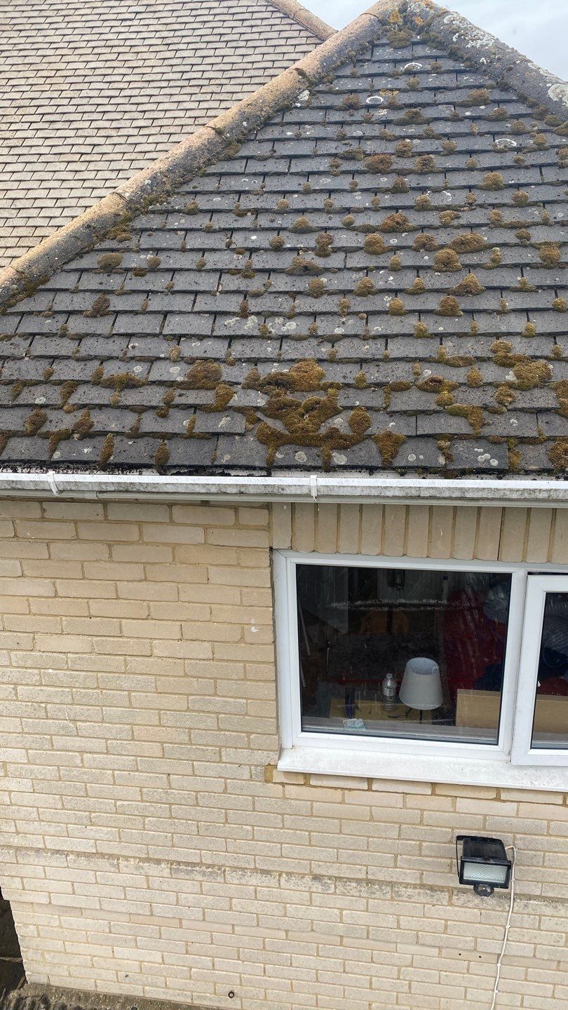 Roof Clean - Moss Removal using Honda 15lpm Low Pressure Washing Machine by Ges Exterior Cleaning ltd