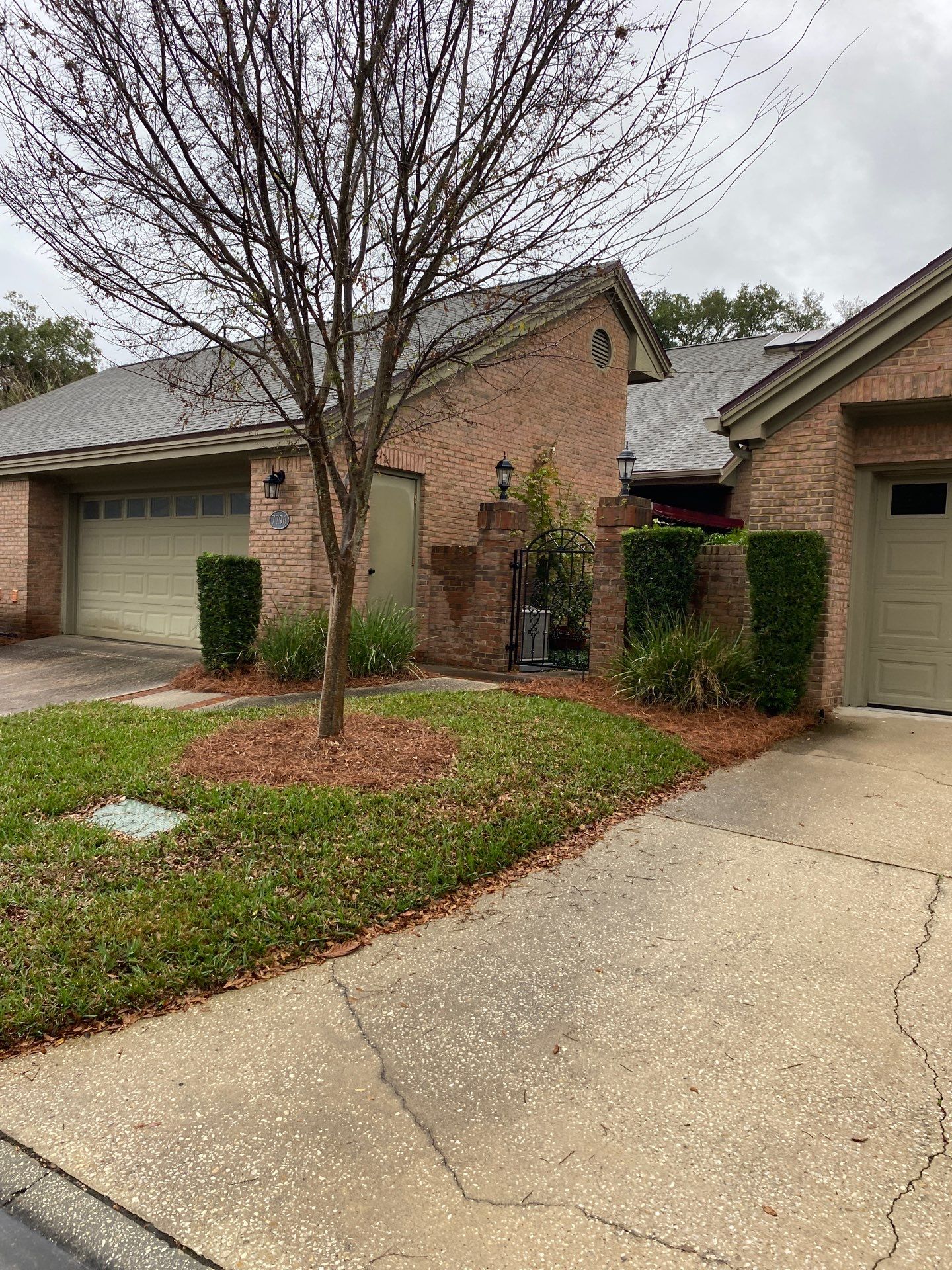 Deerwood Pointe | Tree Removal & Pine Straw Installation by ProGreen Services