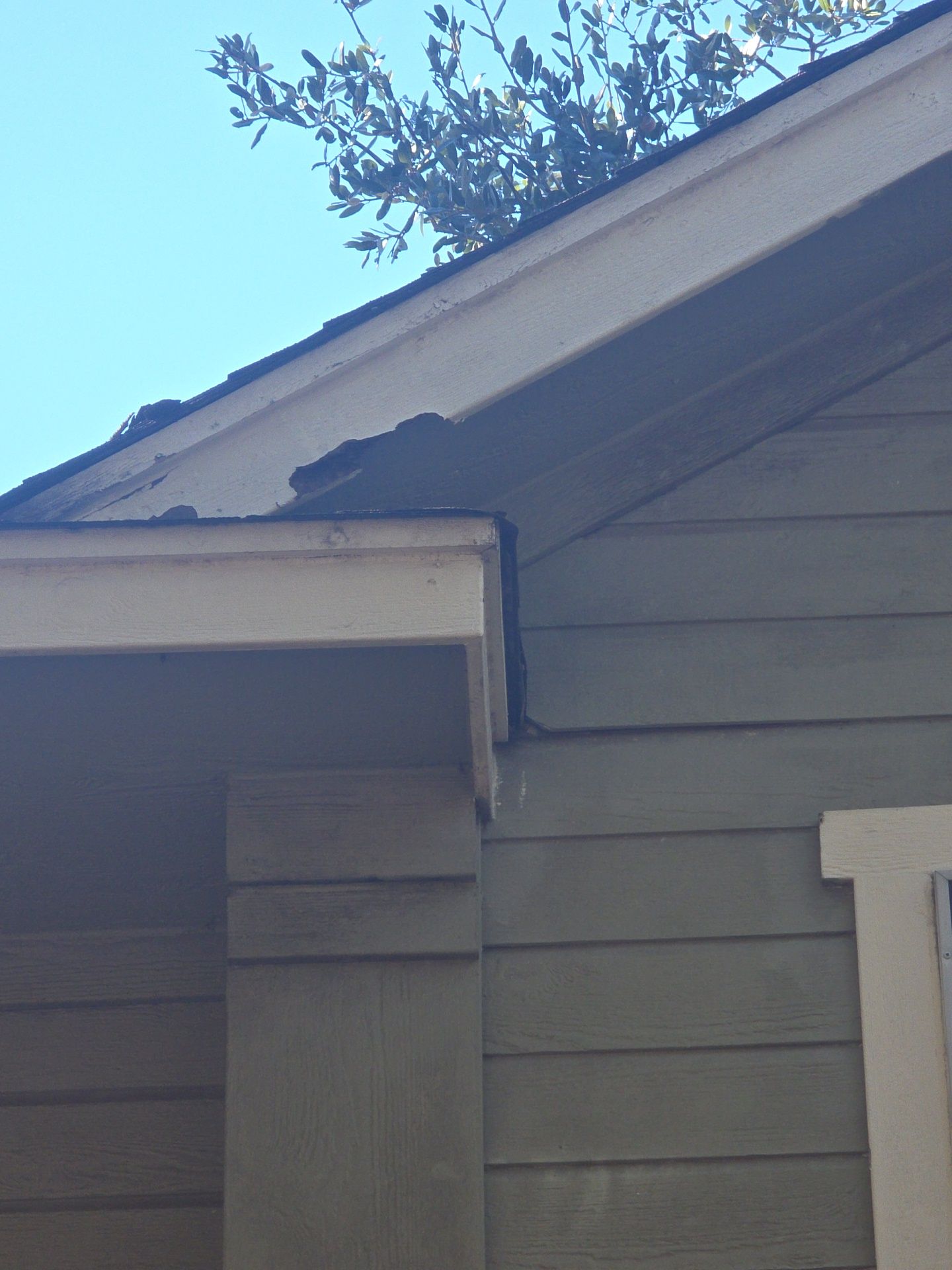 Just another roof ? by REPS OF TEXAS