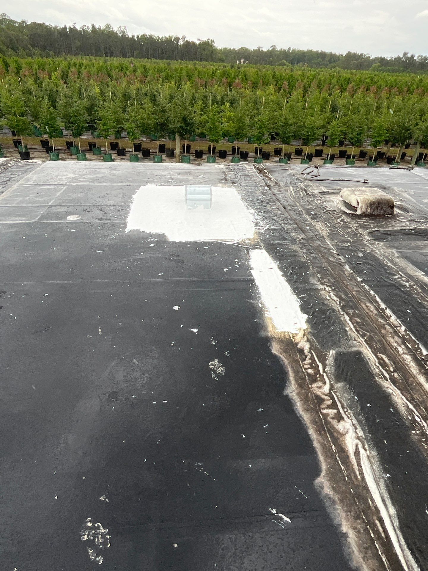 Flat Membrane Roof Repair and Interior Restoration in Fort Myers by cordova home services 