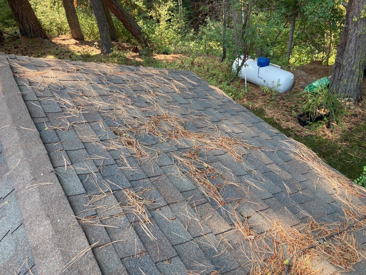 Two story new build gets a CertainTeed Landmark roof in Shenandoah  by ID Roofing LLC