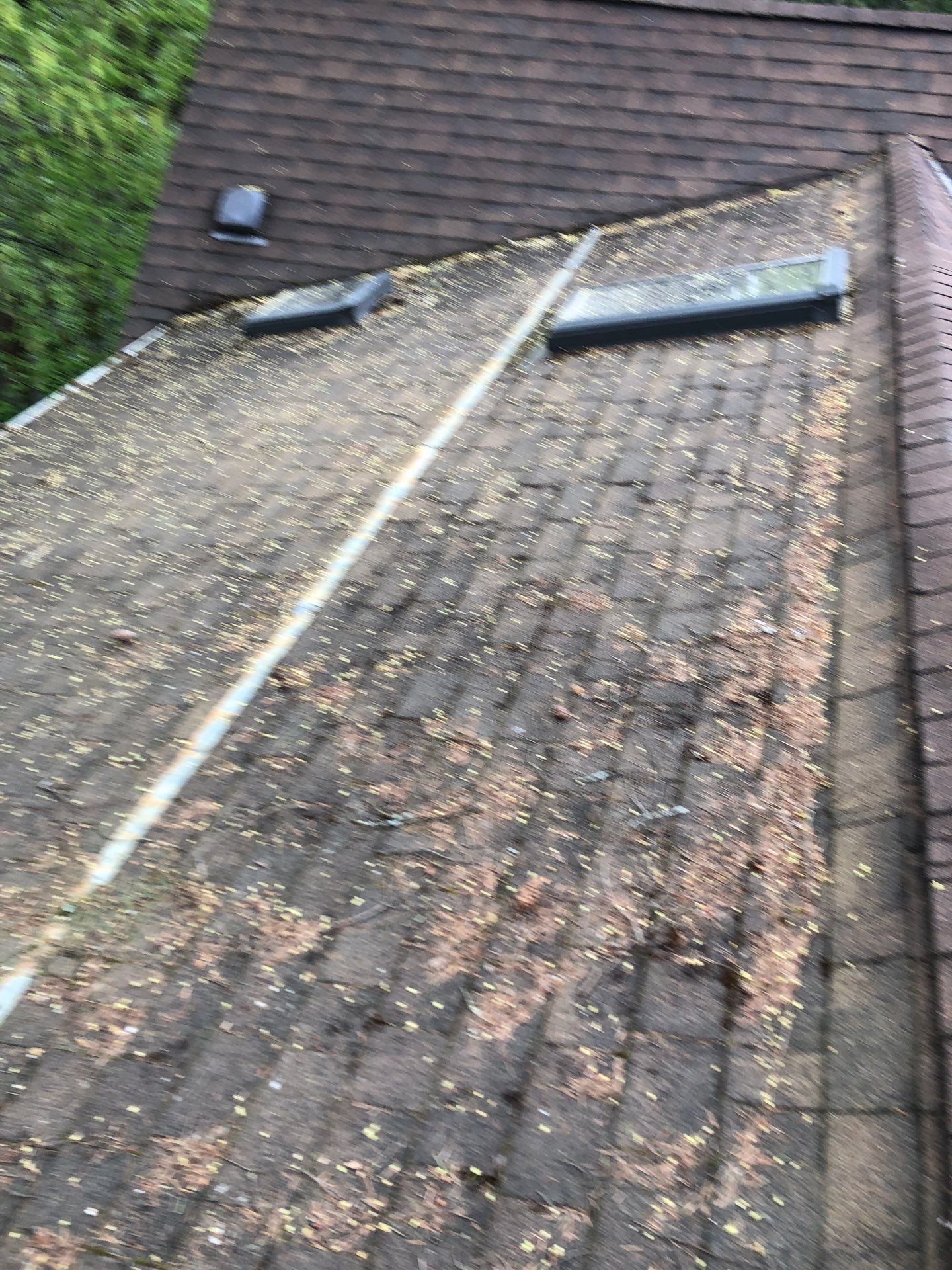 Project in Seattle by Peaks and Valleys Construction
