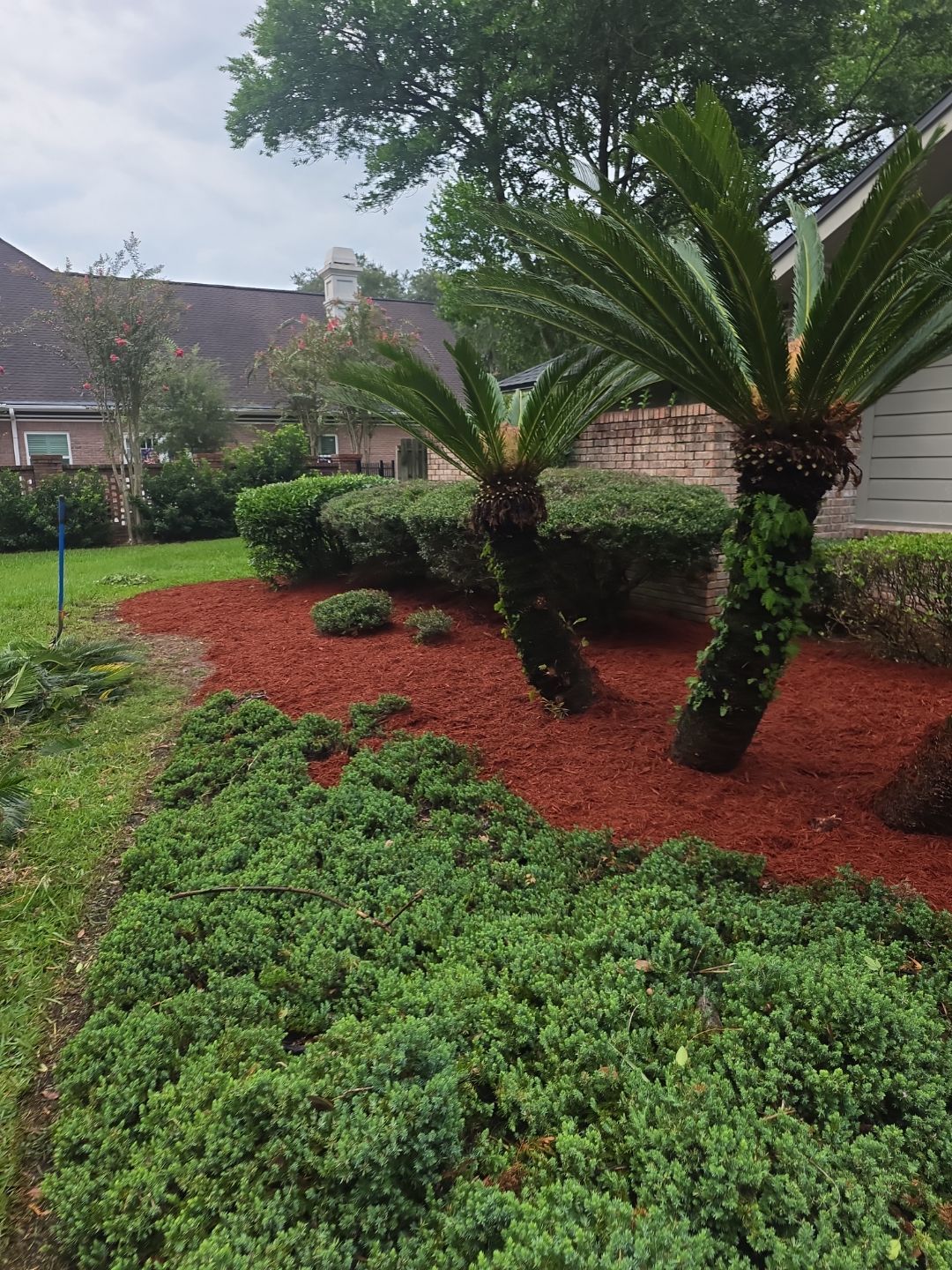 Deerwood Resident | Clean-Up & Mulch Install by ProGreen Services