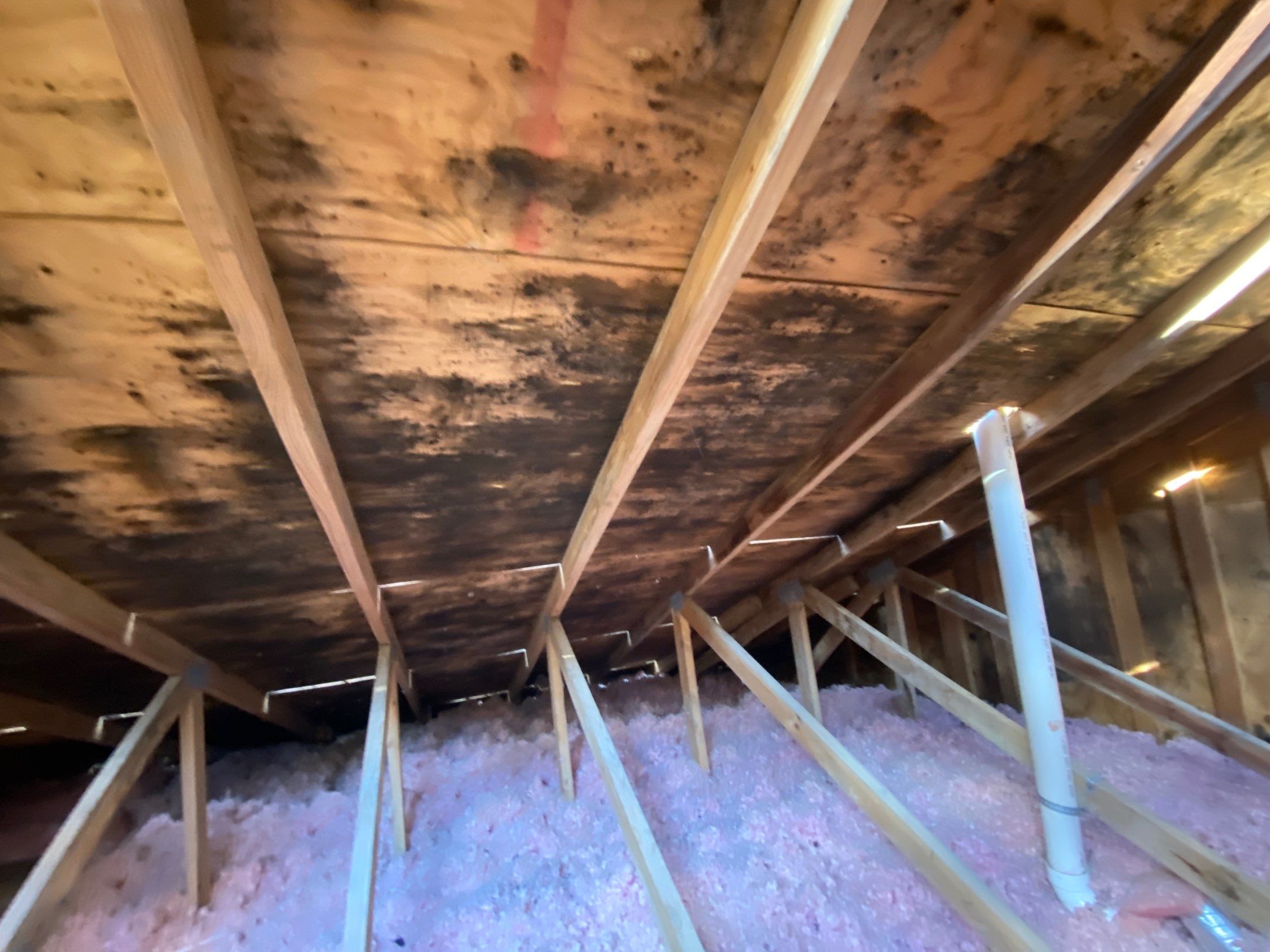 Roof Replacement using Owens Corning by 180 Contractors