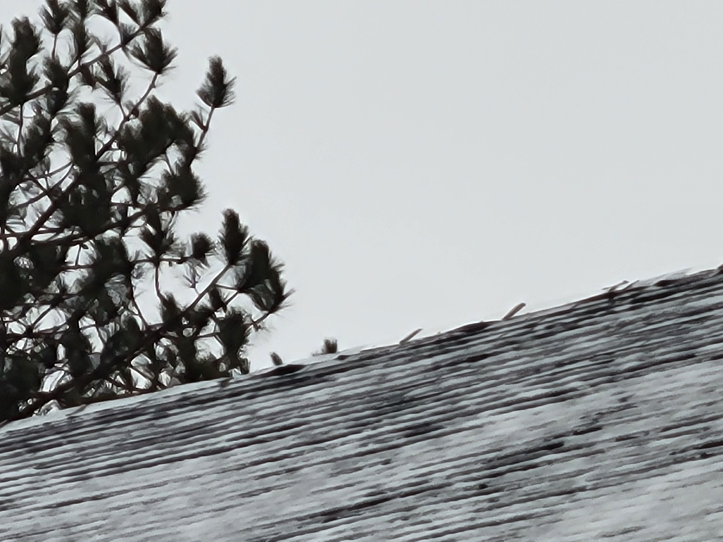 Slate Roof Repair using All Natrual Slate Tiles by The B.A.R Roofing