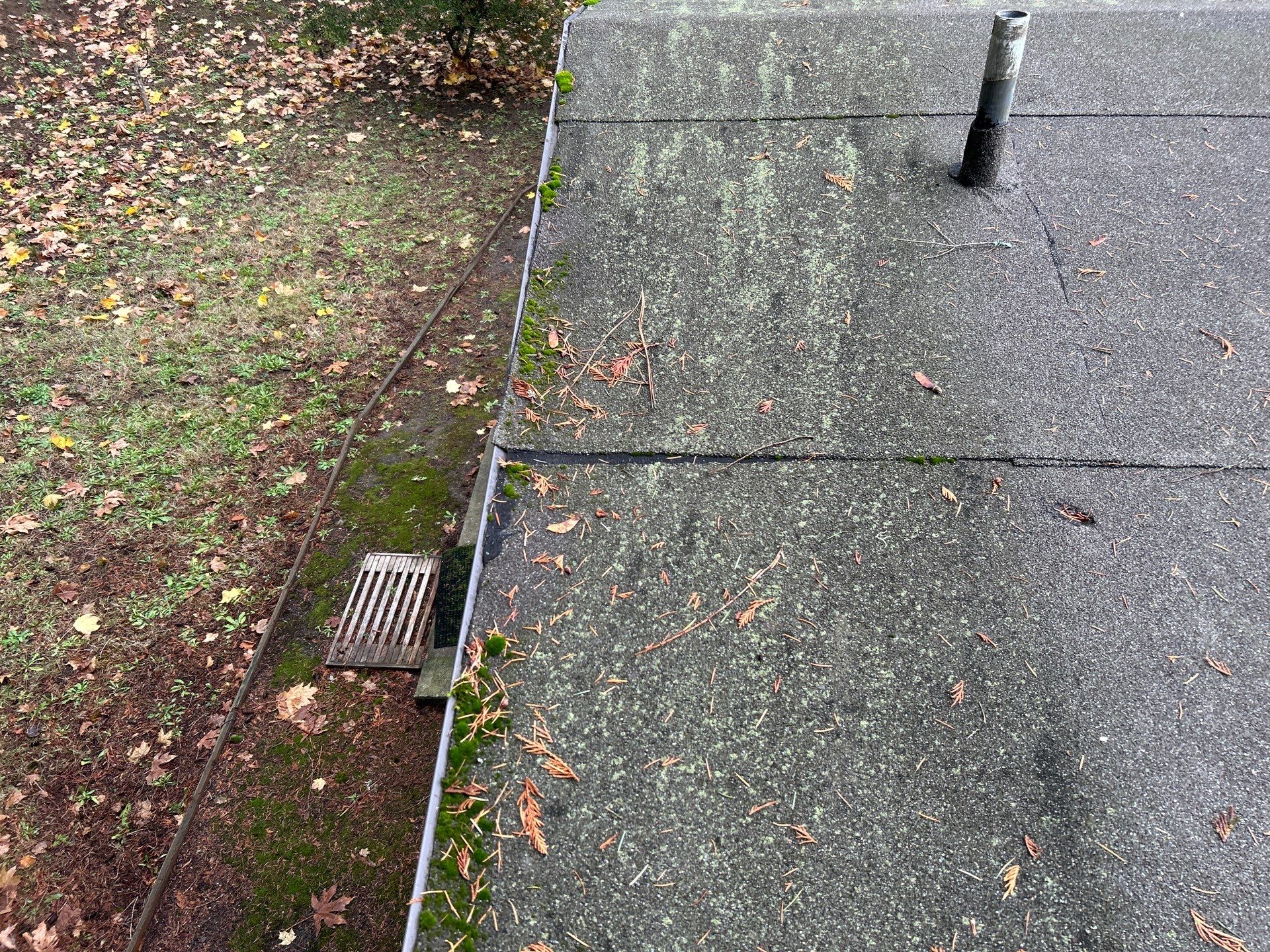 Roof Replacement in Portland by Prodigy Roof Solutions