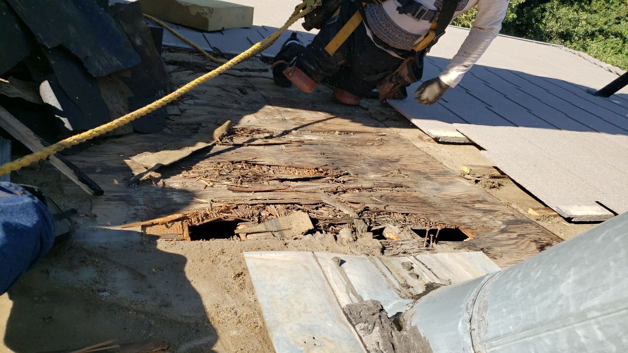 Residential Roofing Repair using Concrete Tile by The Roof Doctor