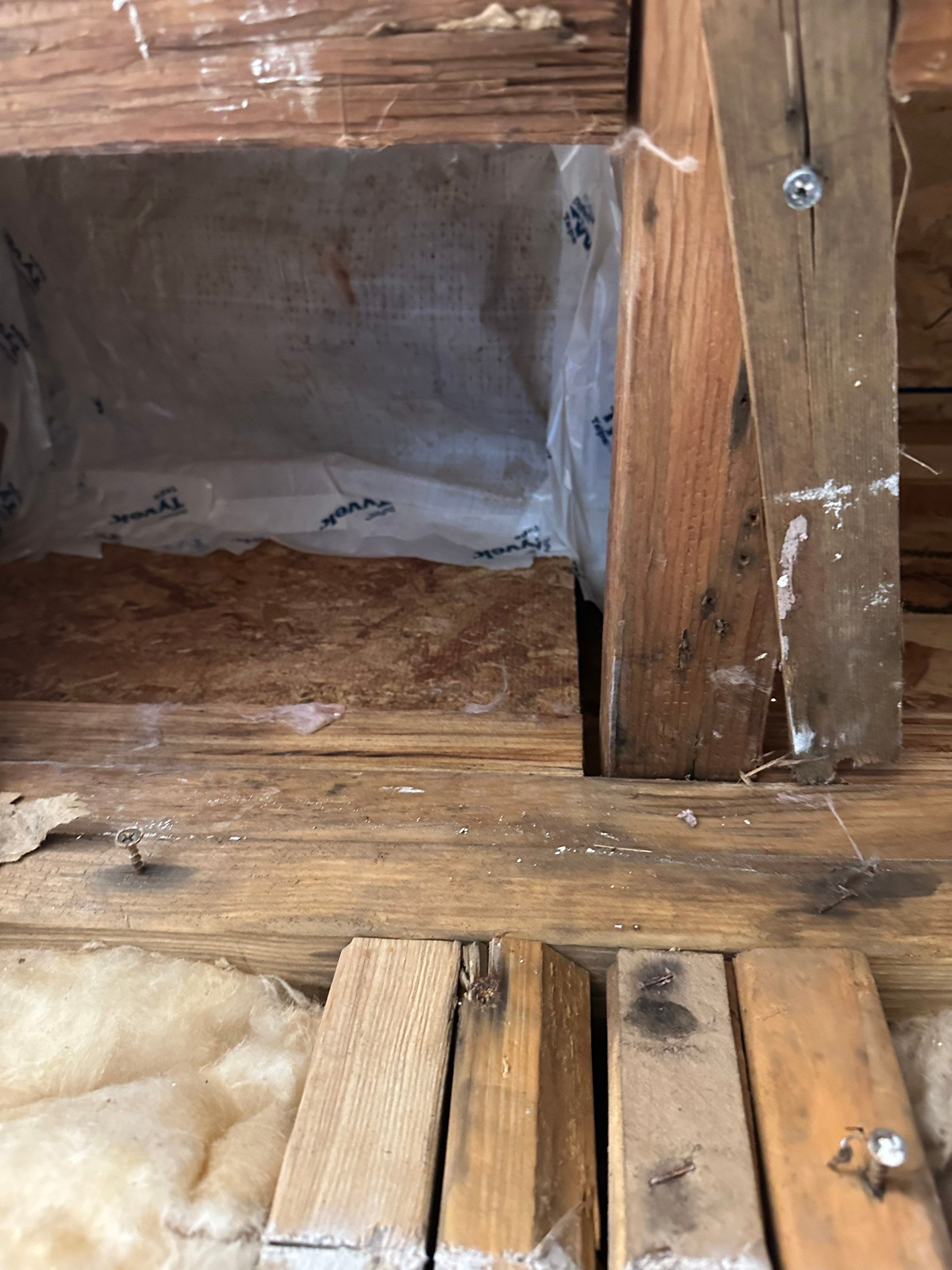 Water Damage in Denver, CO by Alpha Restoration 