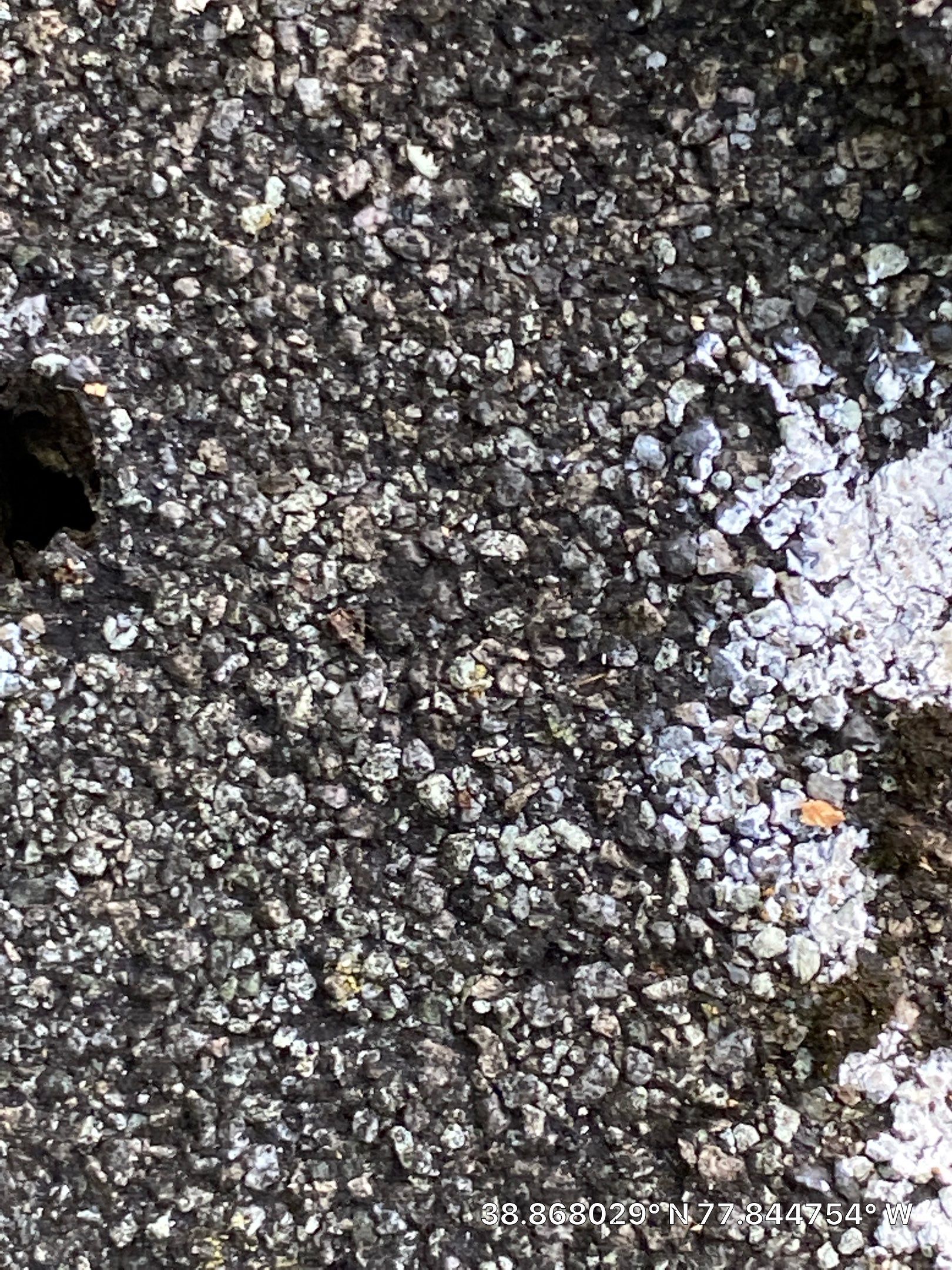 Marshall Roofing Project - Landmark Pro Max Def Pewterwood Designer Shingles by RM Banning, Inc.