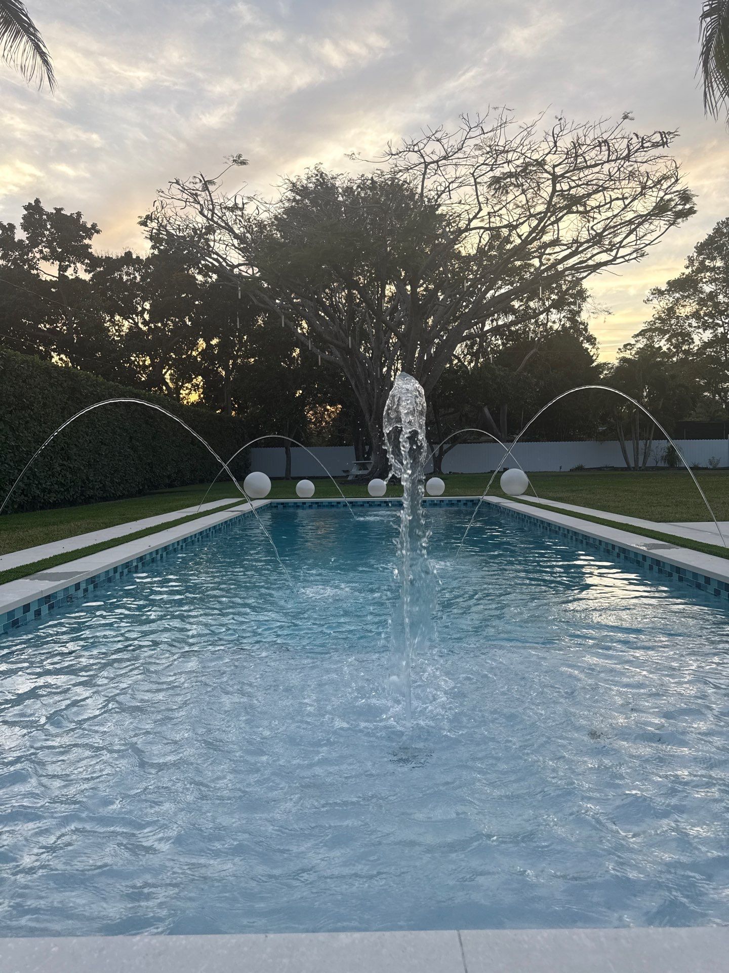 Project in South Miami by ROSMEL POOLS INC