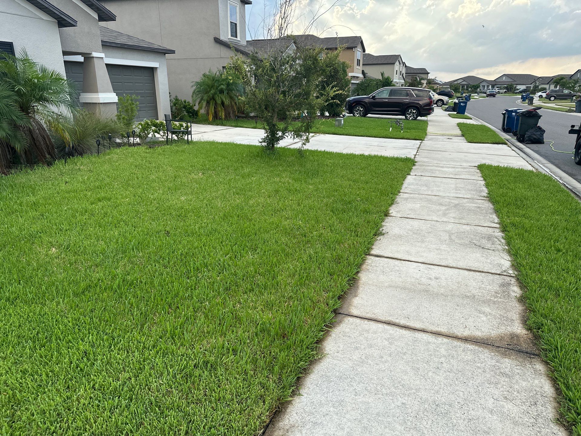 🚿 Concrete Driveway, Sidewalk & Entryway Cleaning – Trevesta Community, Palmetto, FL by Sunshine AquaWash