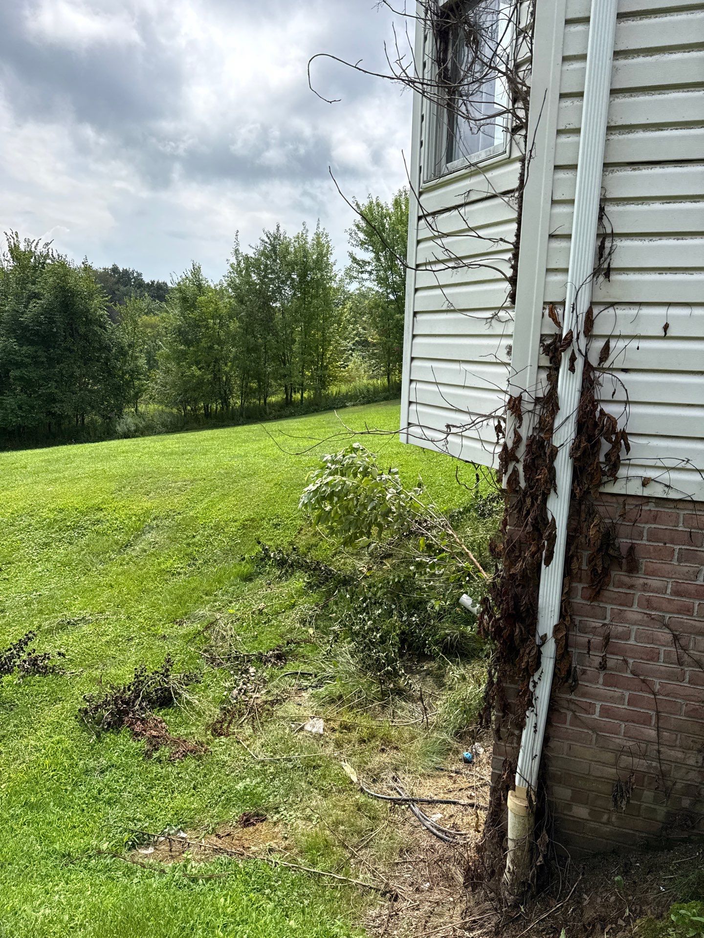 Residential Dryer Vent Cleaning and Lint Removal in New Brighton, PA by Superior Air Duct Cleaning