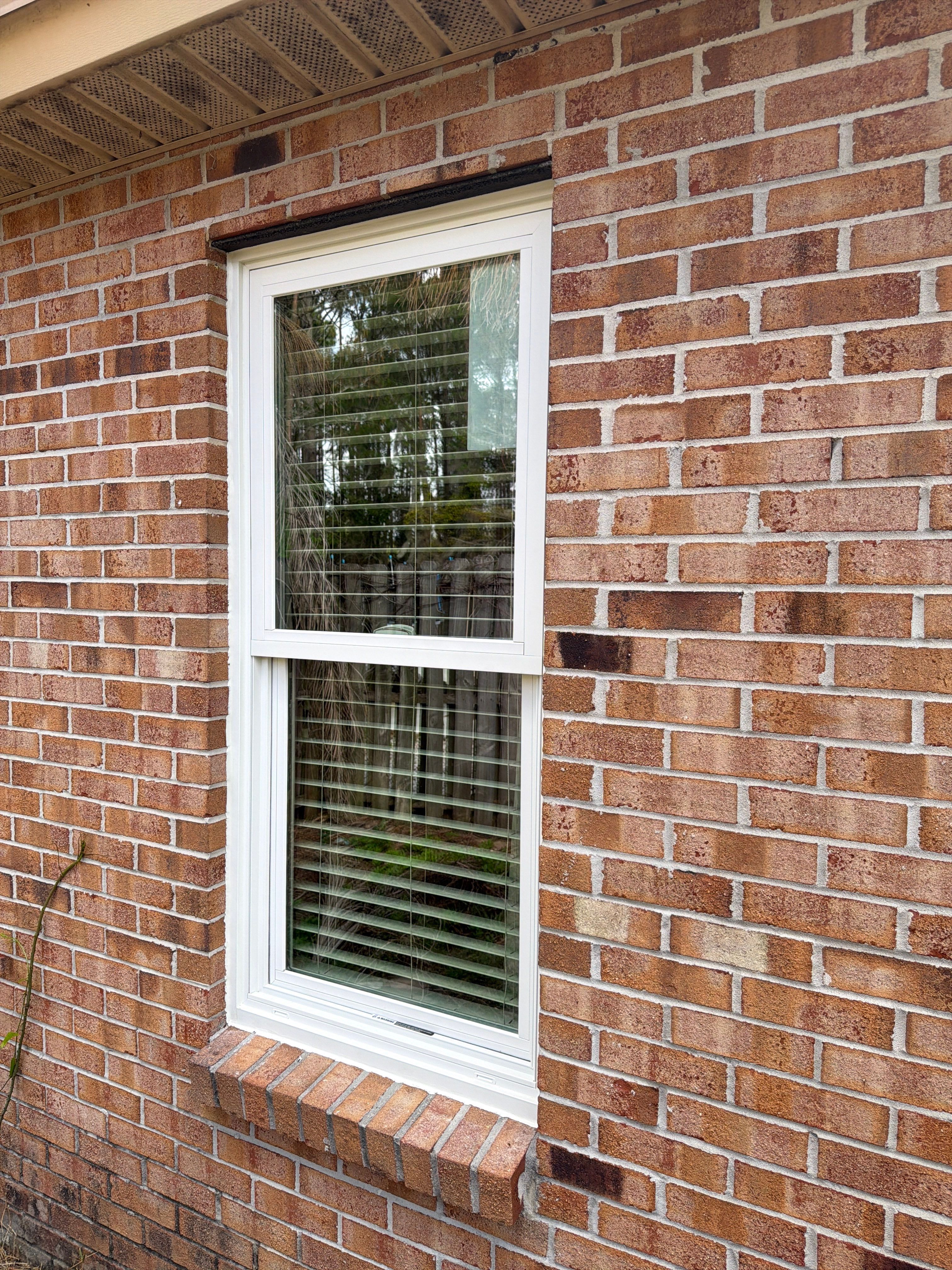 Full Home Andersen Window Replacement for Jacksonville Residence by Windows & Doors Store