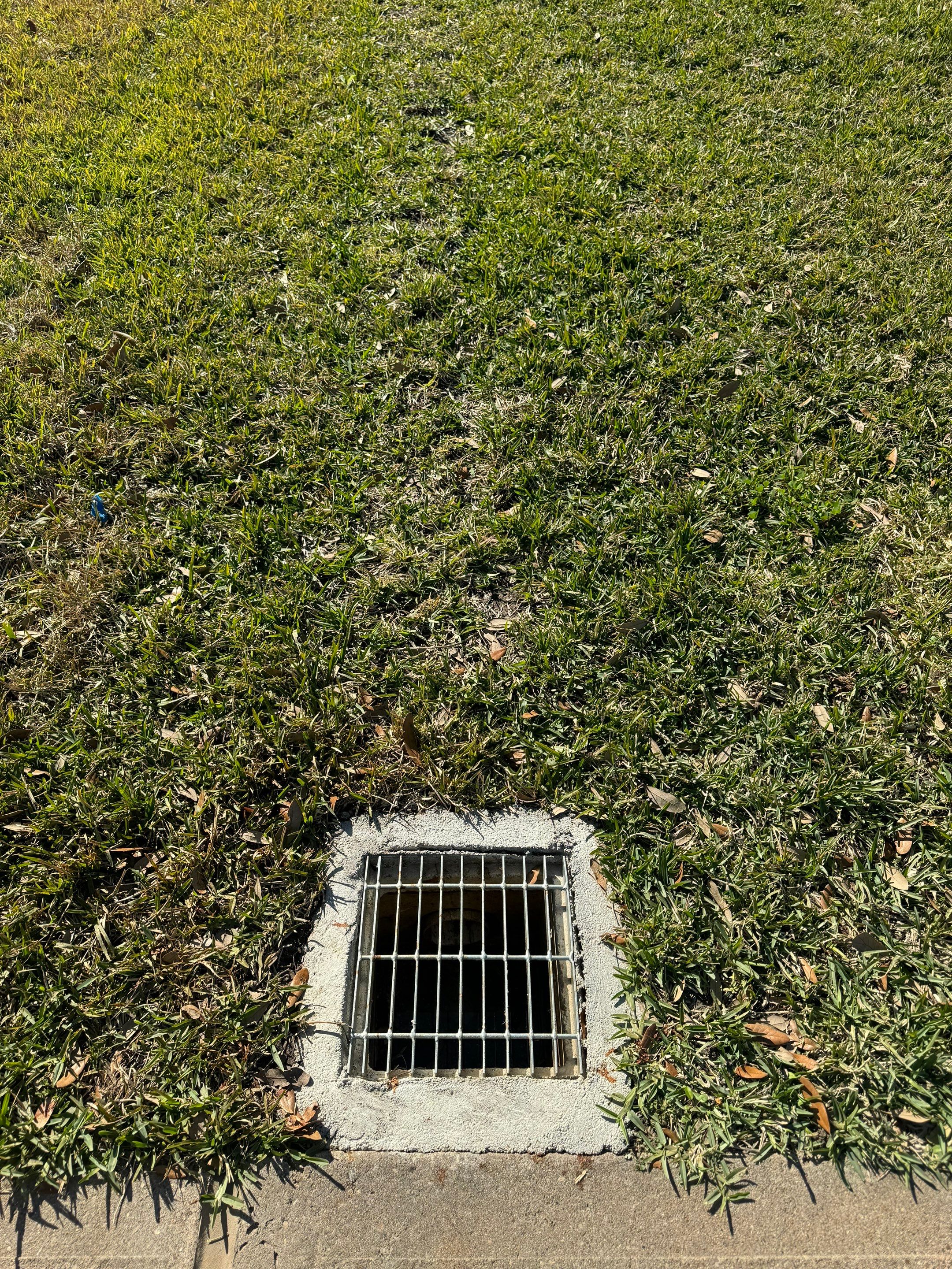 🌳 Mr. Gary – Stormwater Protection & Landscape Renewal by Texas Urban Elements