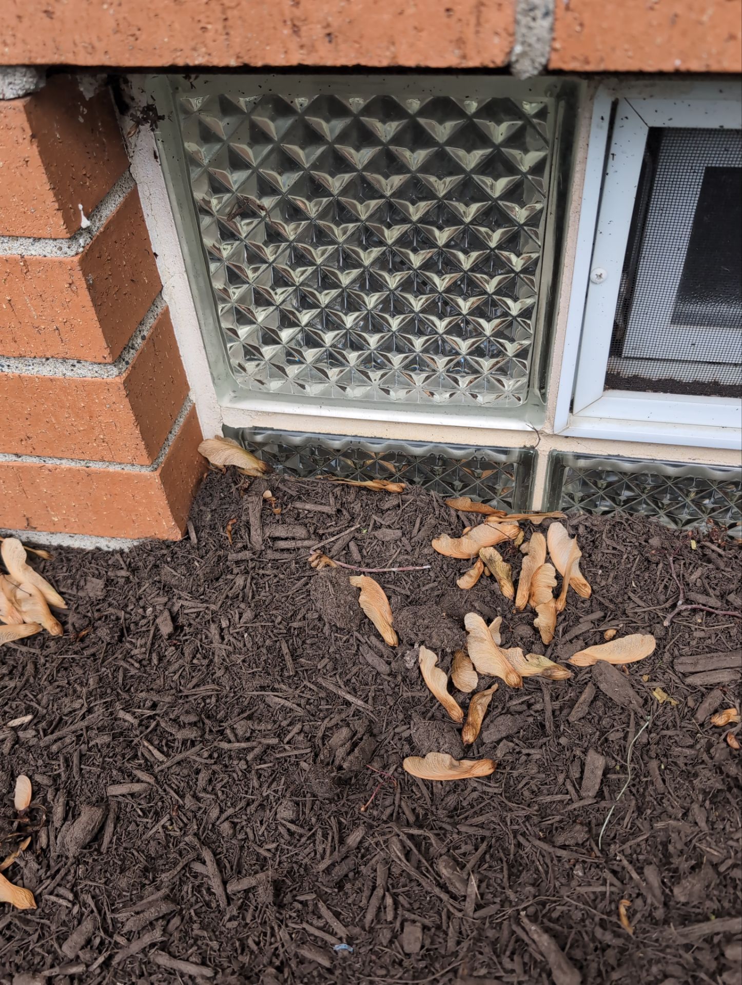Exterior Waterproofing by Toledo Basement Repair