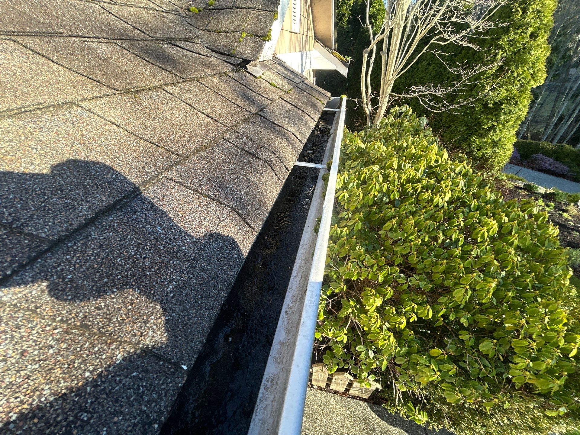 Project in Mount Vernon by Peaks and Valleys Construction